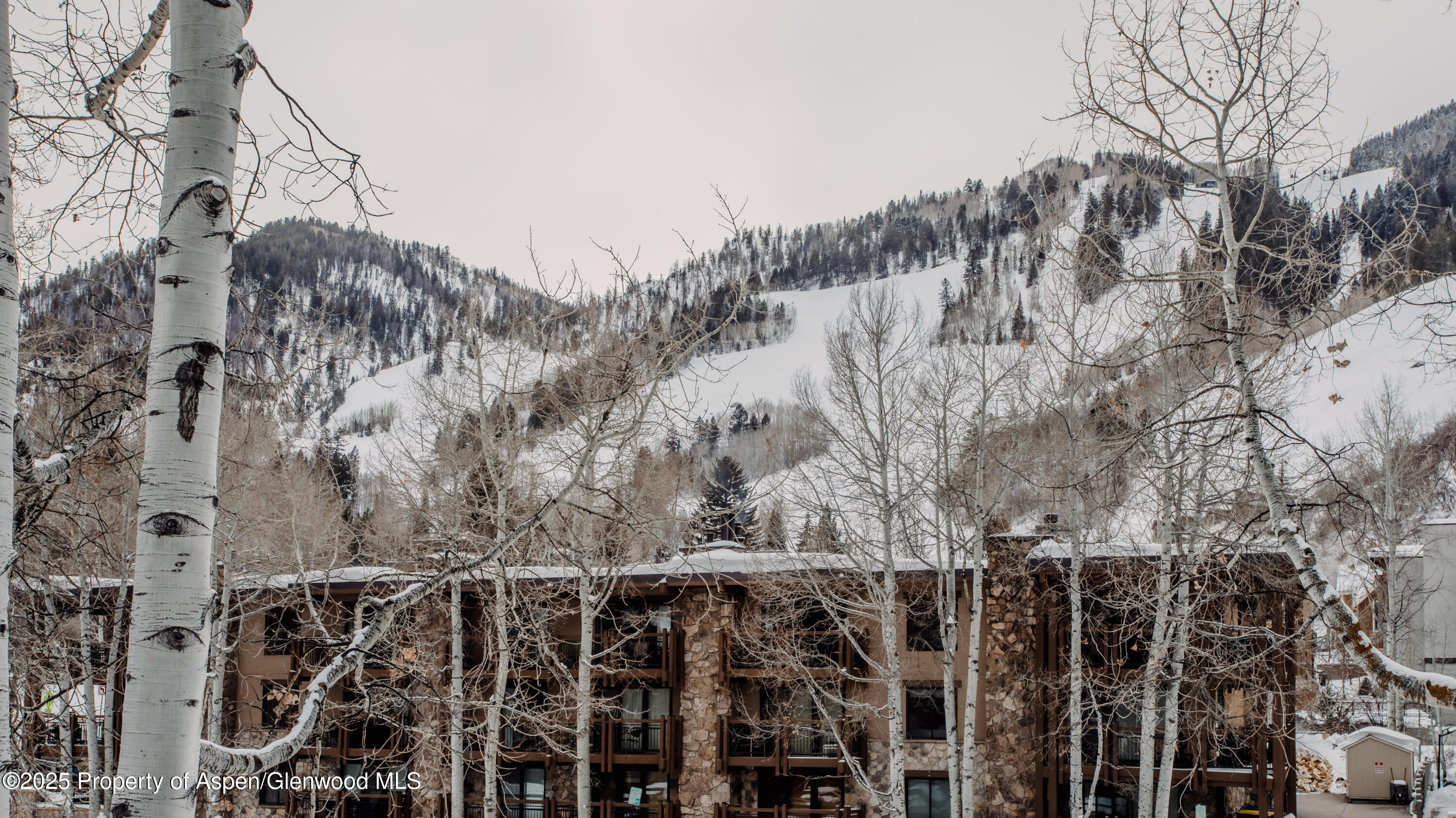 124 E Durant Avenue Aspen CO 81611