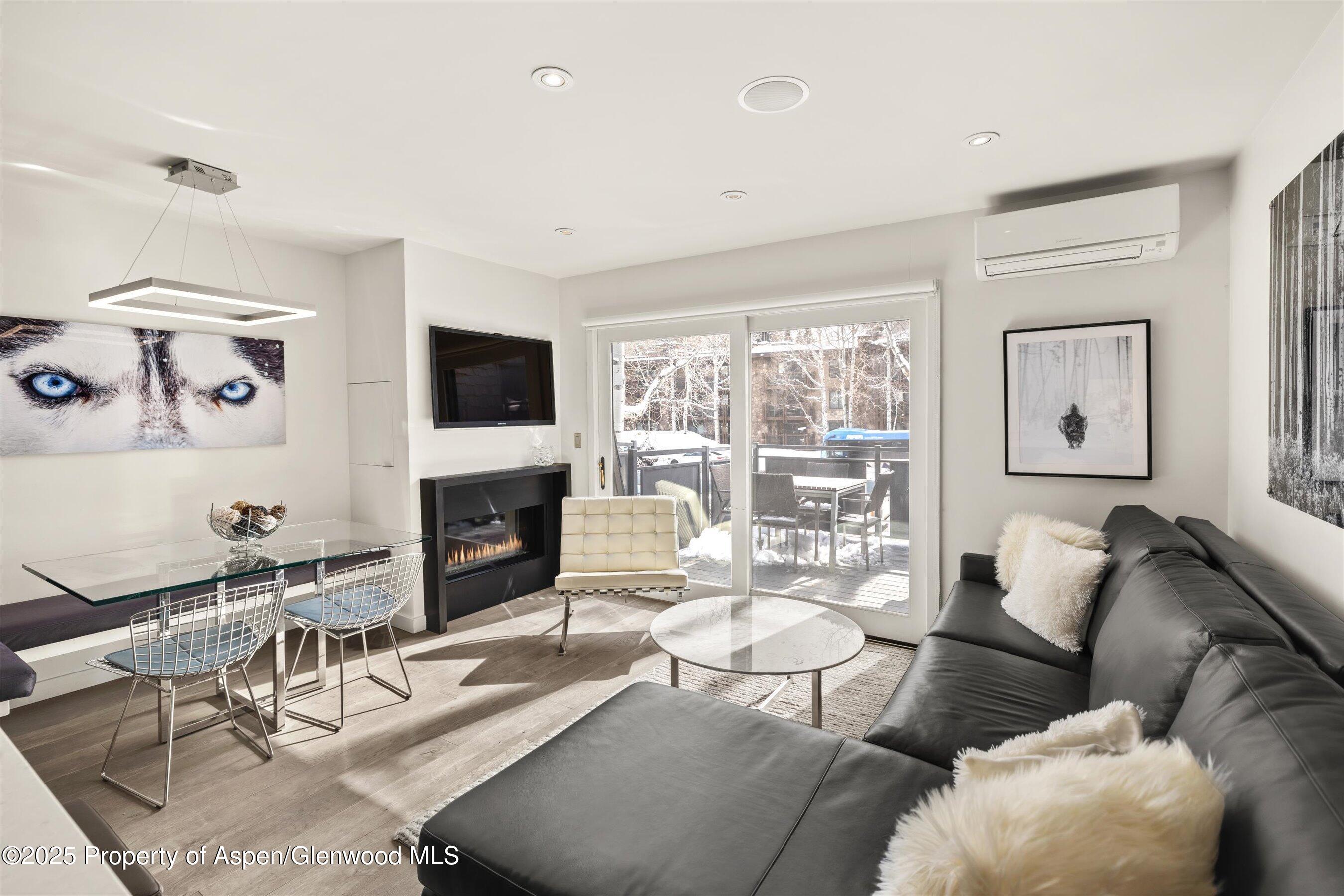 124 E Durant Avenue Aspen CO 81611