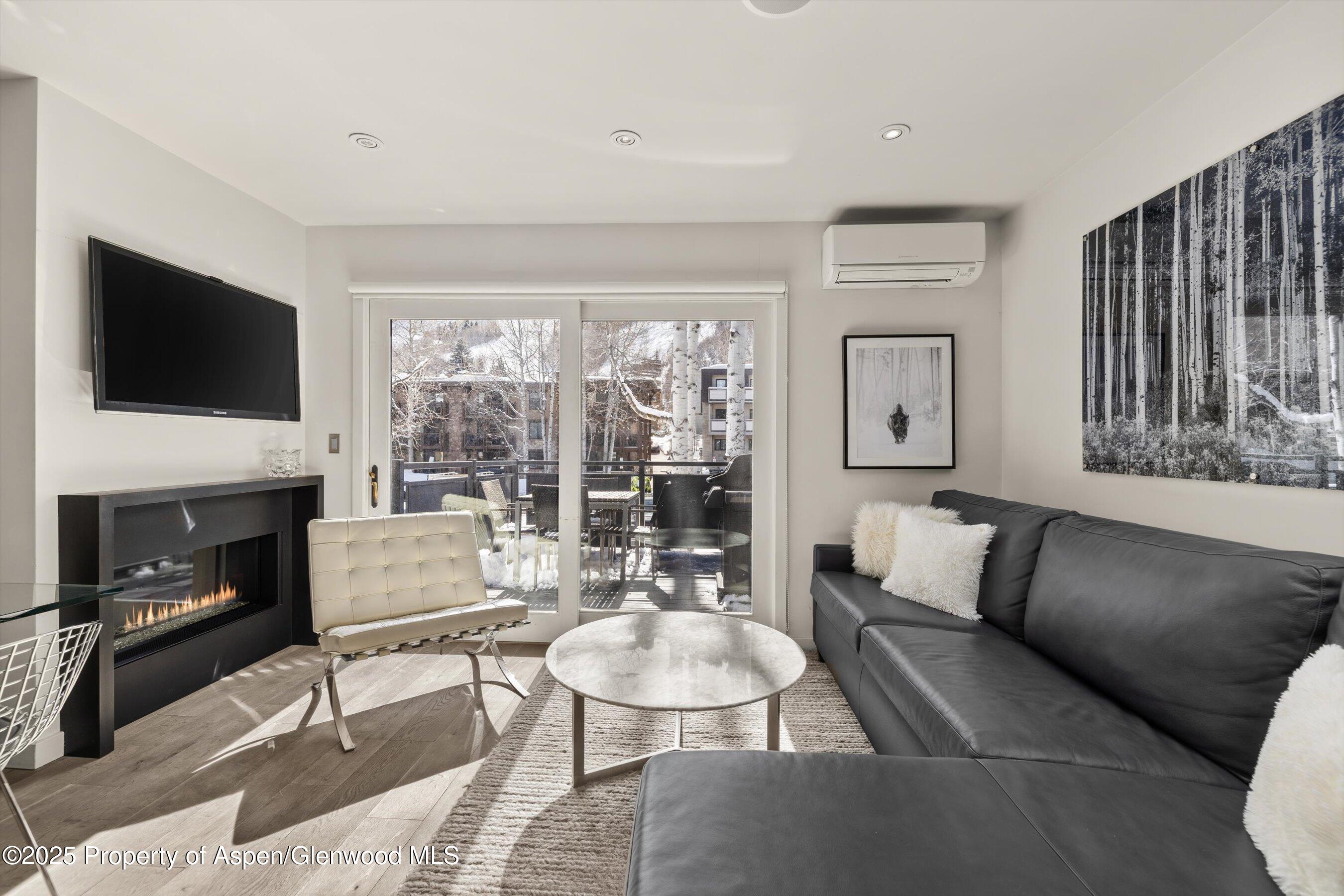 124 E Durant Avenue Aspen CO 81611