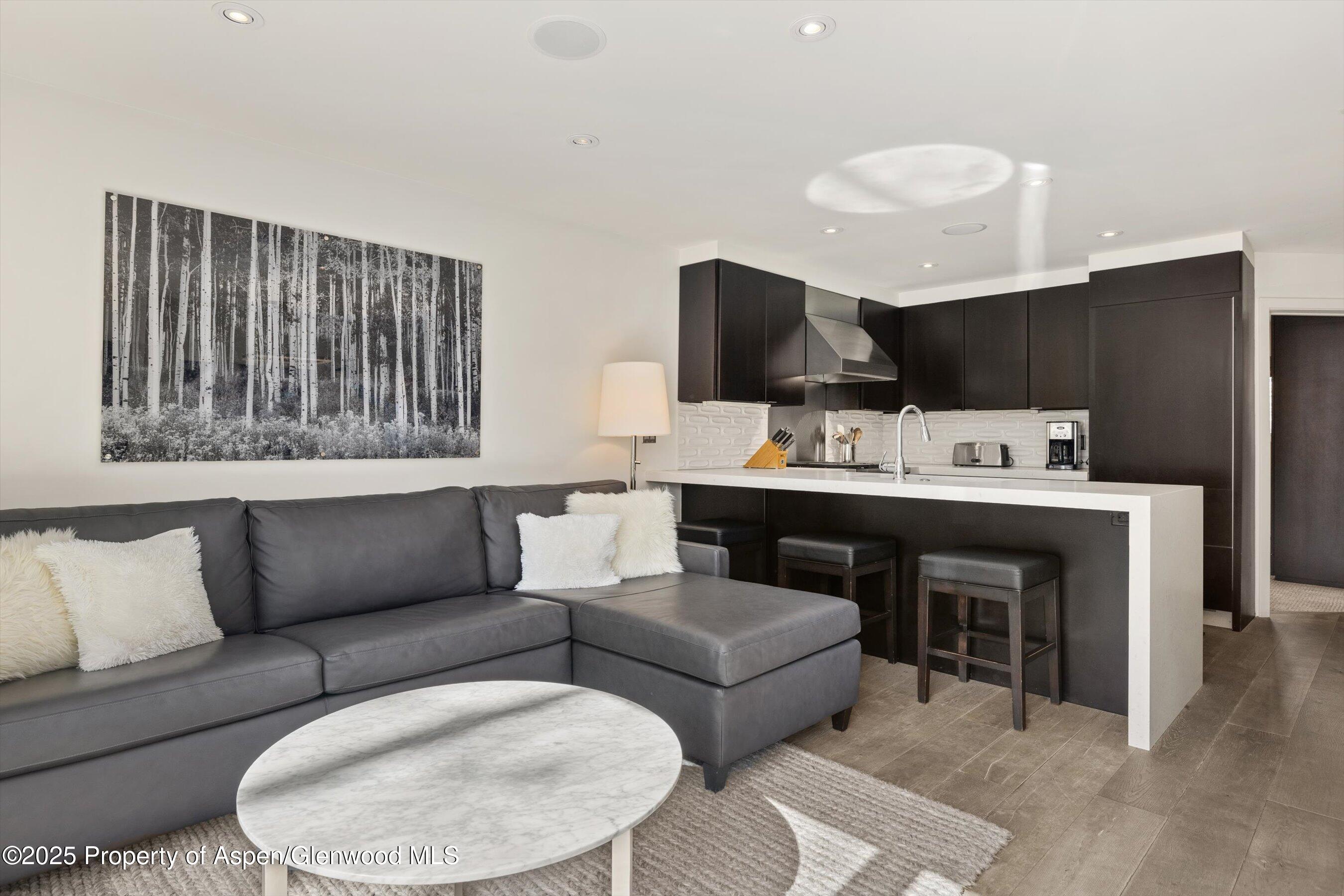 124 E Durant Avenue Aspen CO 81611