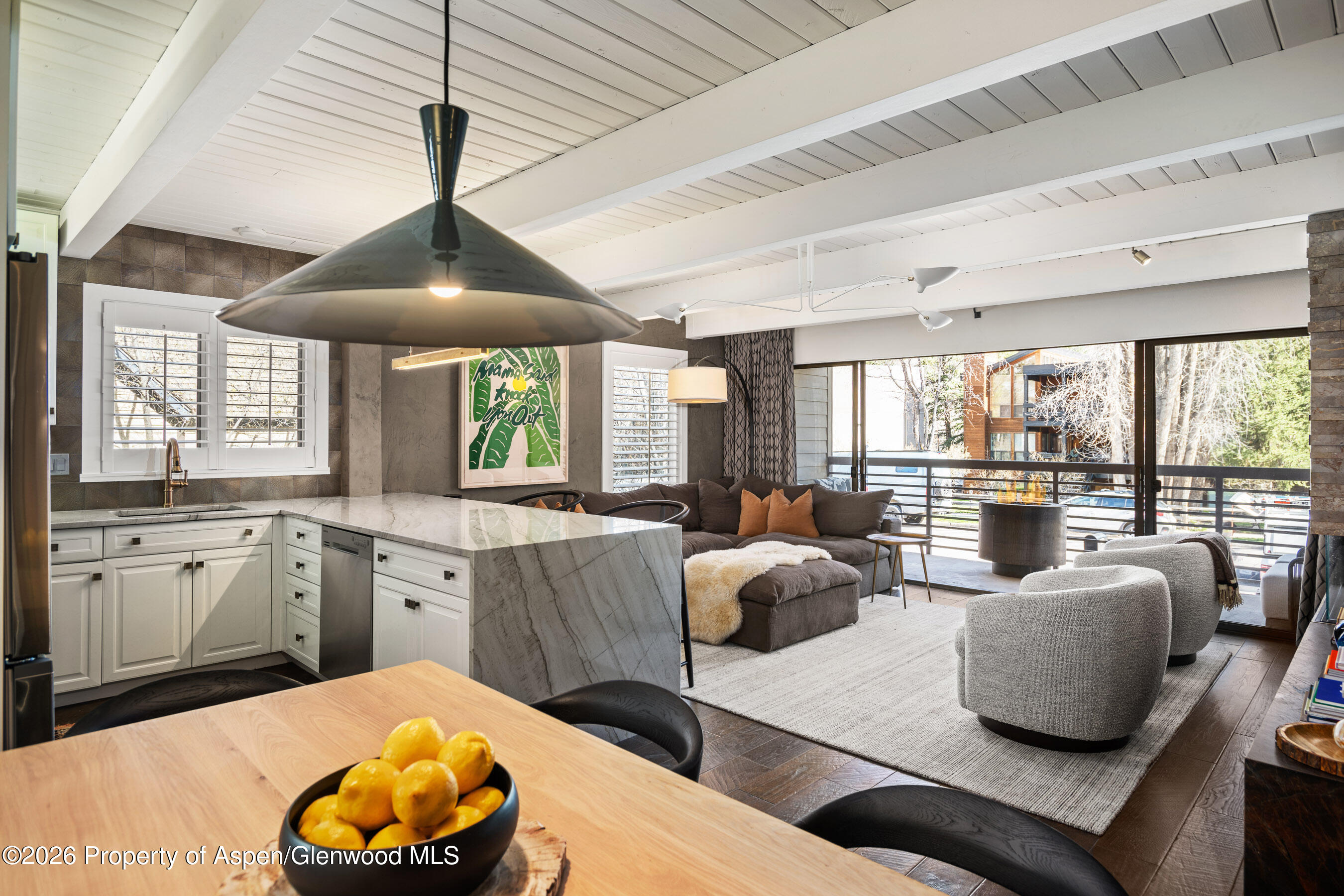 Aspen CO, 825 E Hopkins Avenue, Unit 2n
