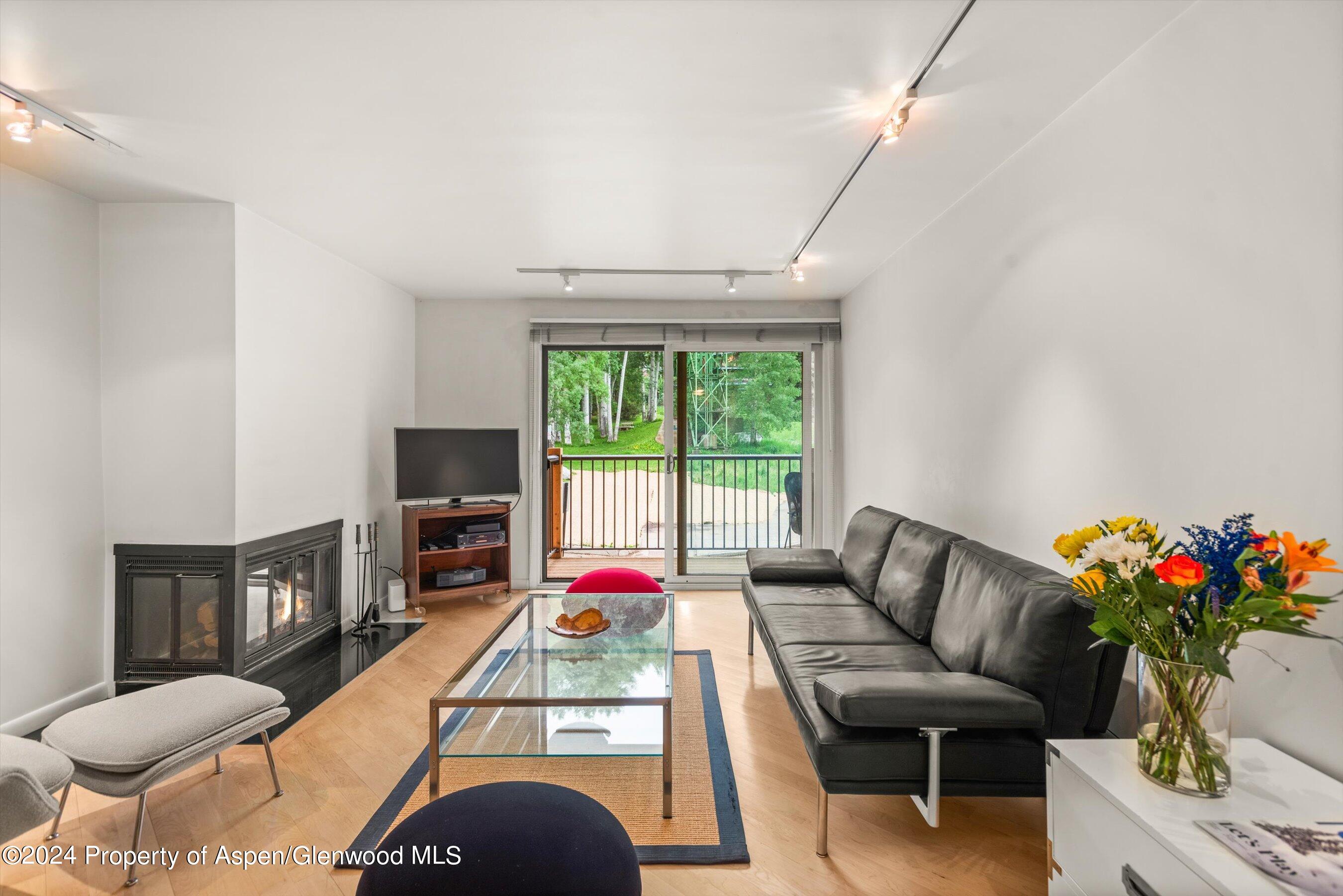 205 E Durant Avenue Aspen CO 81611