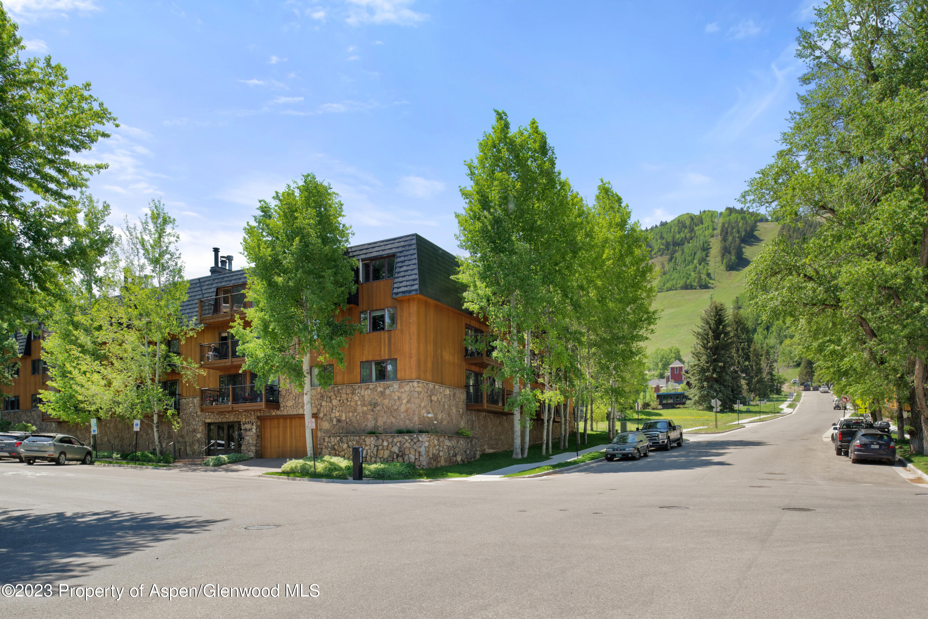 205 E Durant Avenue Aspen CO 81611