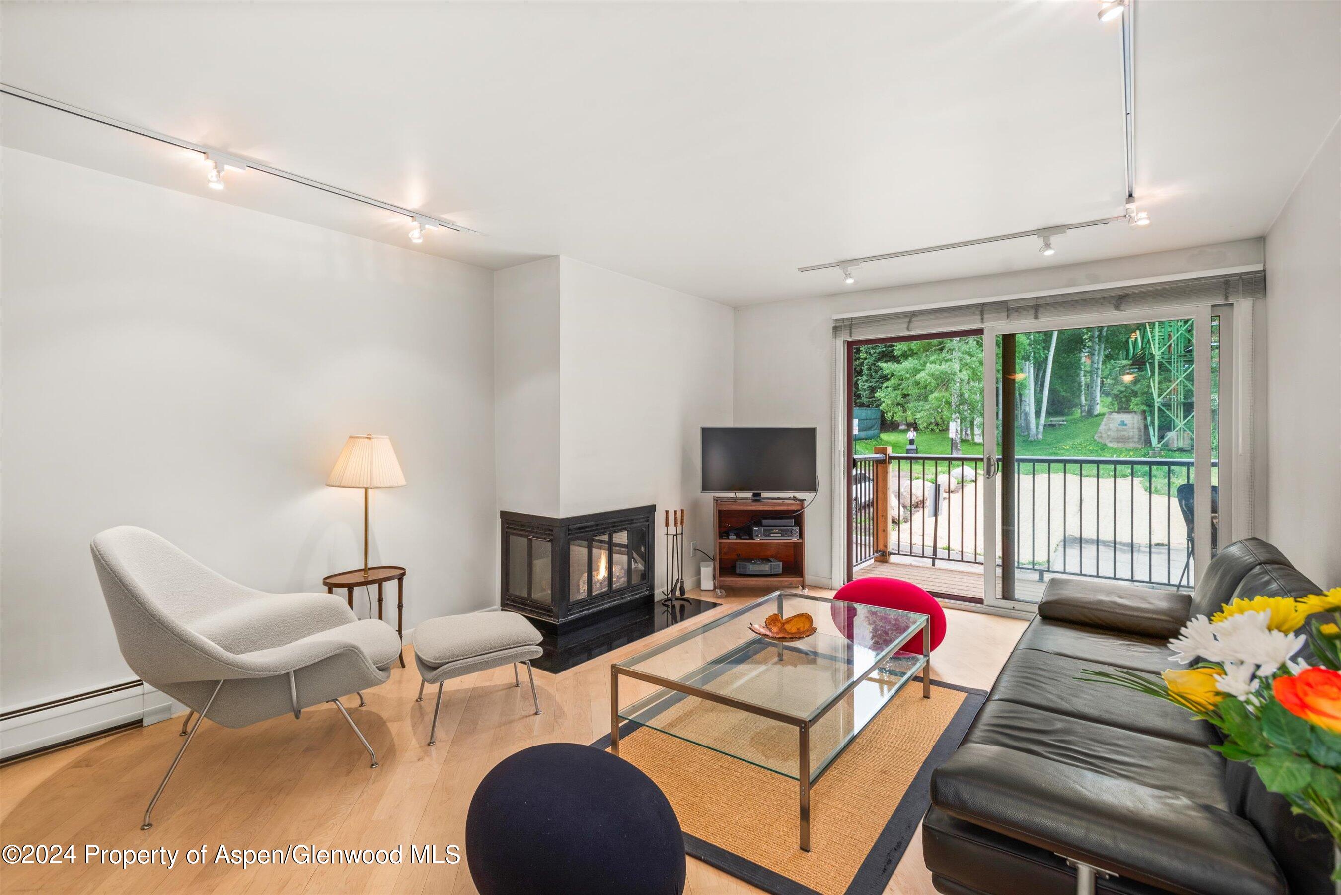 205 E Durant Avenue Aspen CO 81611