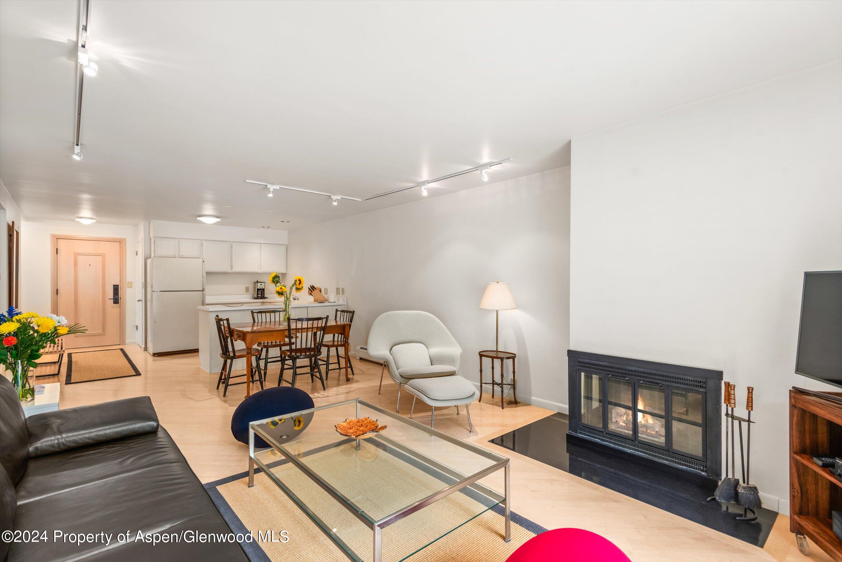 205 E Durant Avenue Aspen CO 81611