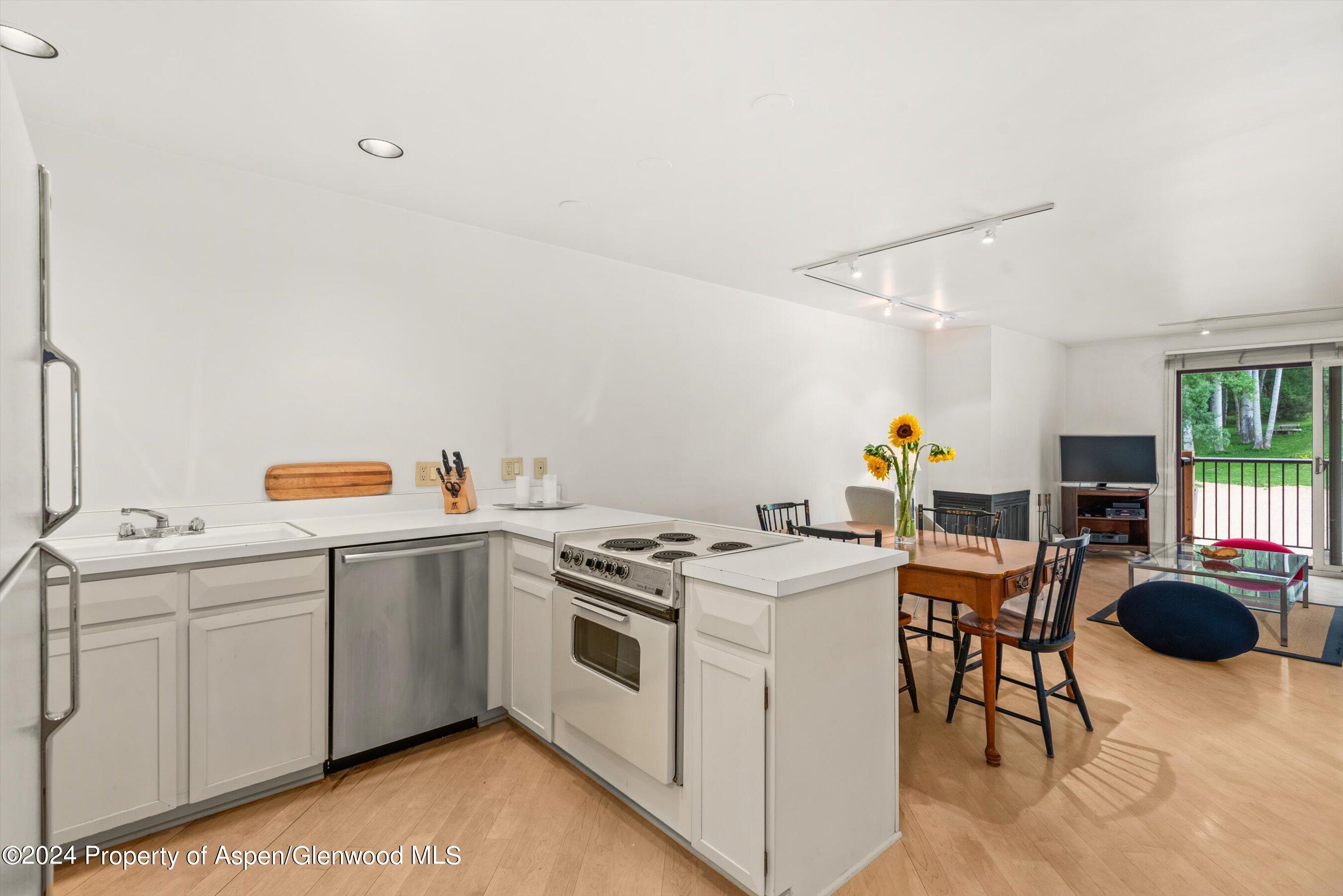 205 E Durant Avenue Aspen CO 81611