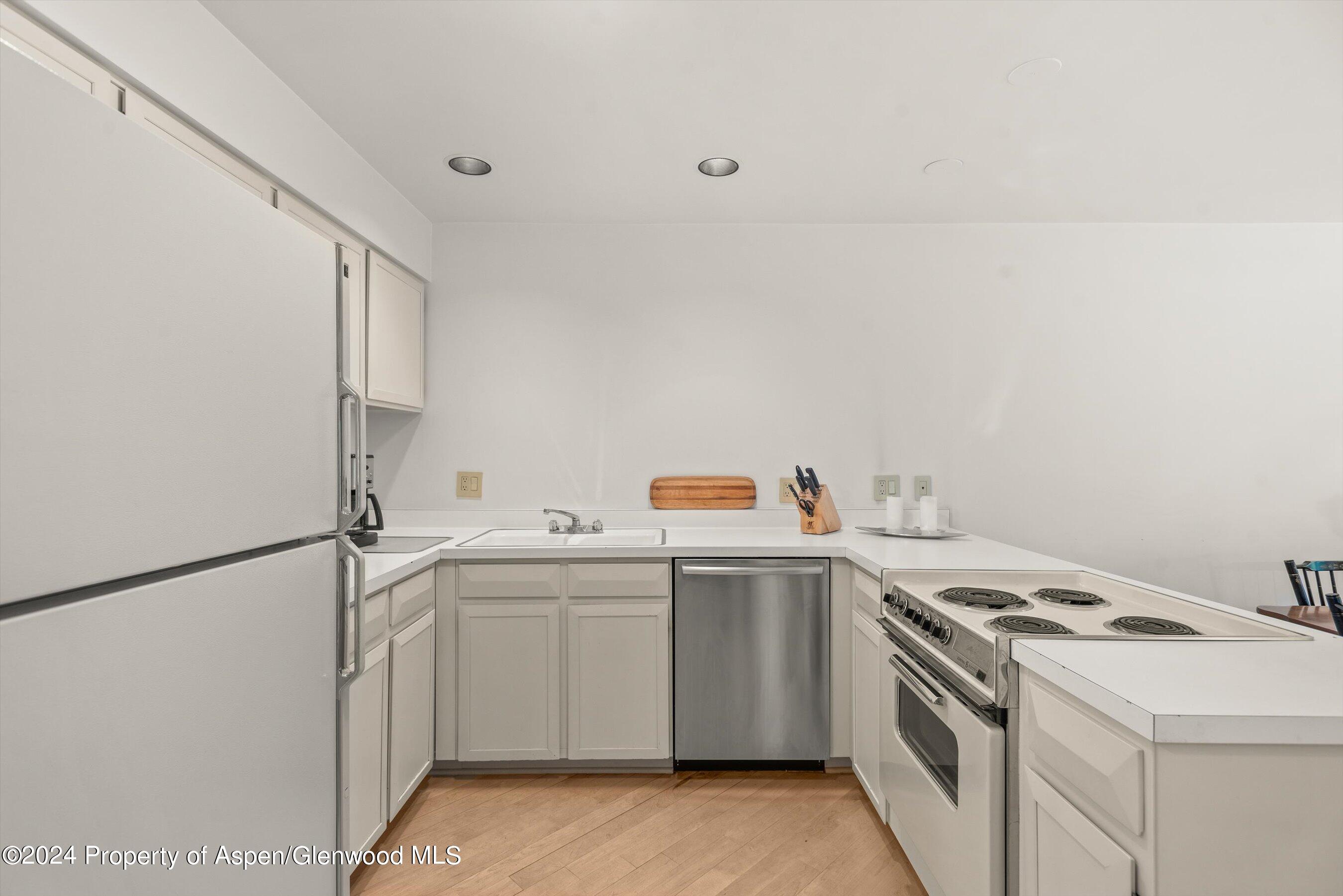 205 E Durant Avenue Aspen CO 81611