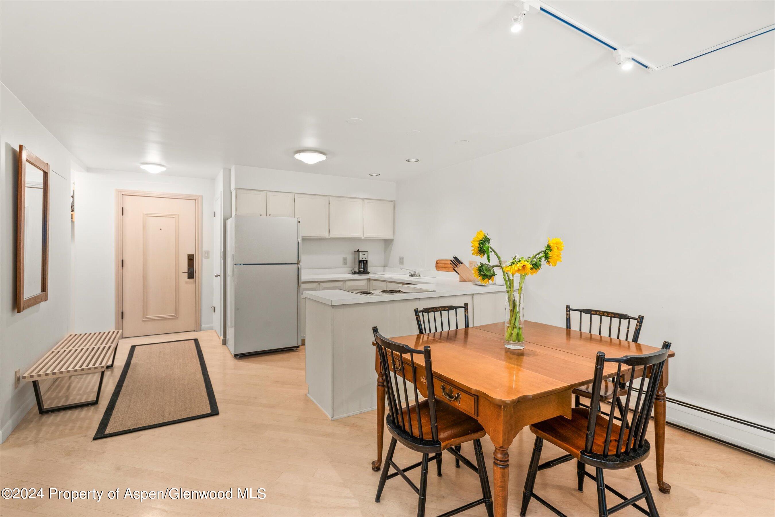 205 E Durant Avenue Aspen CO 81611