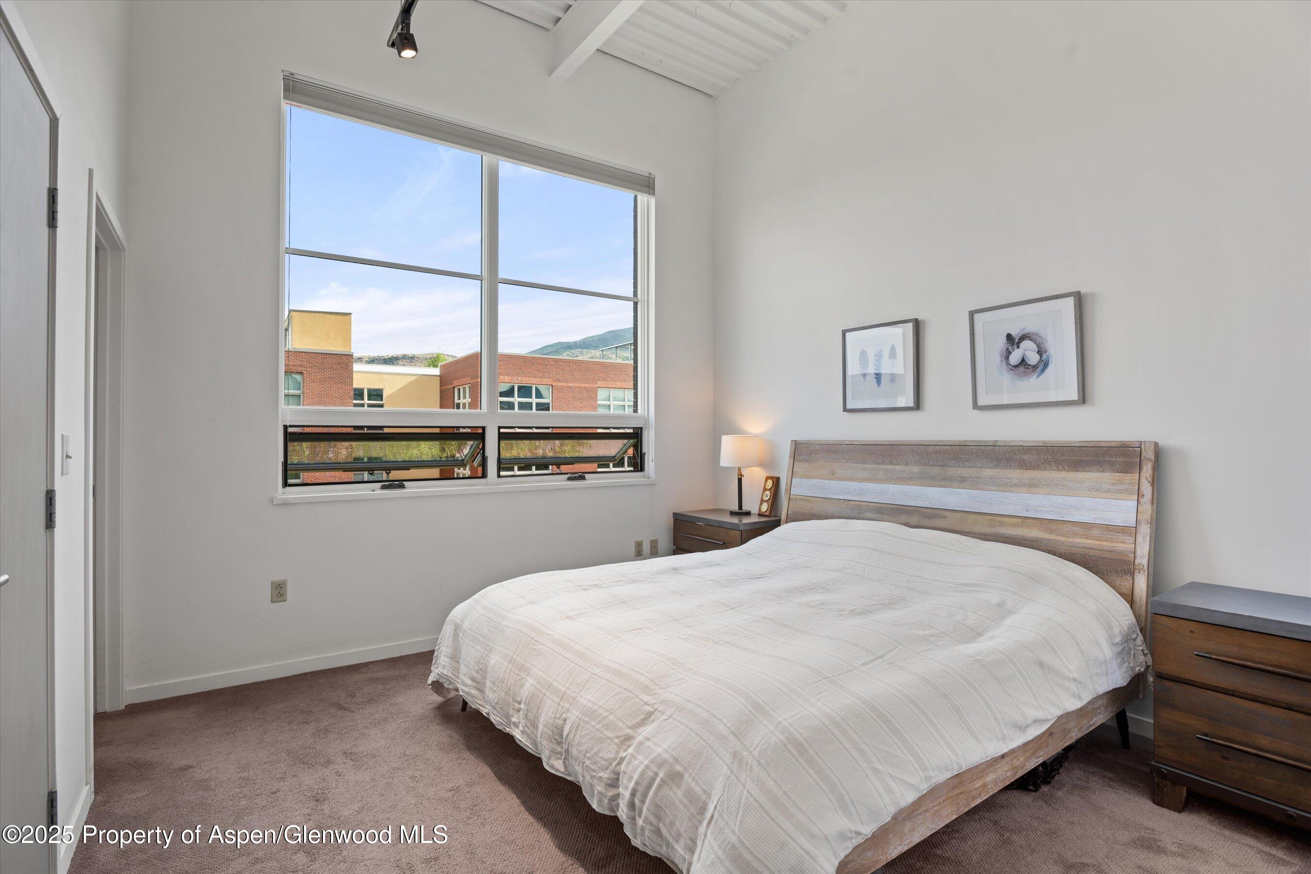 361 Robinson Street Basalt CO 81621