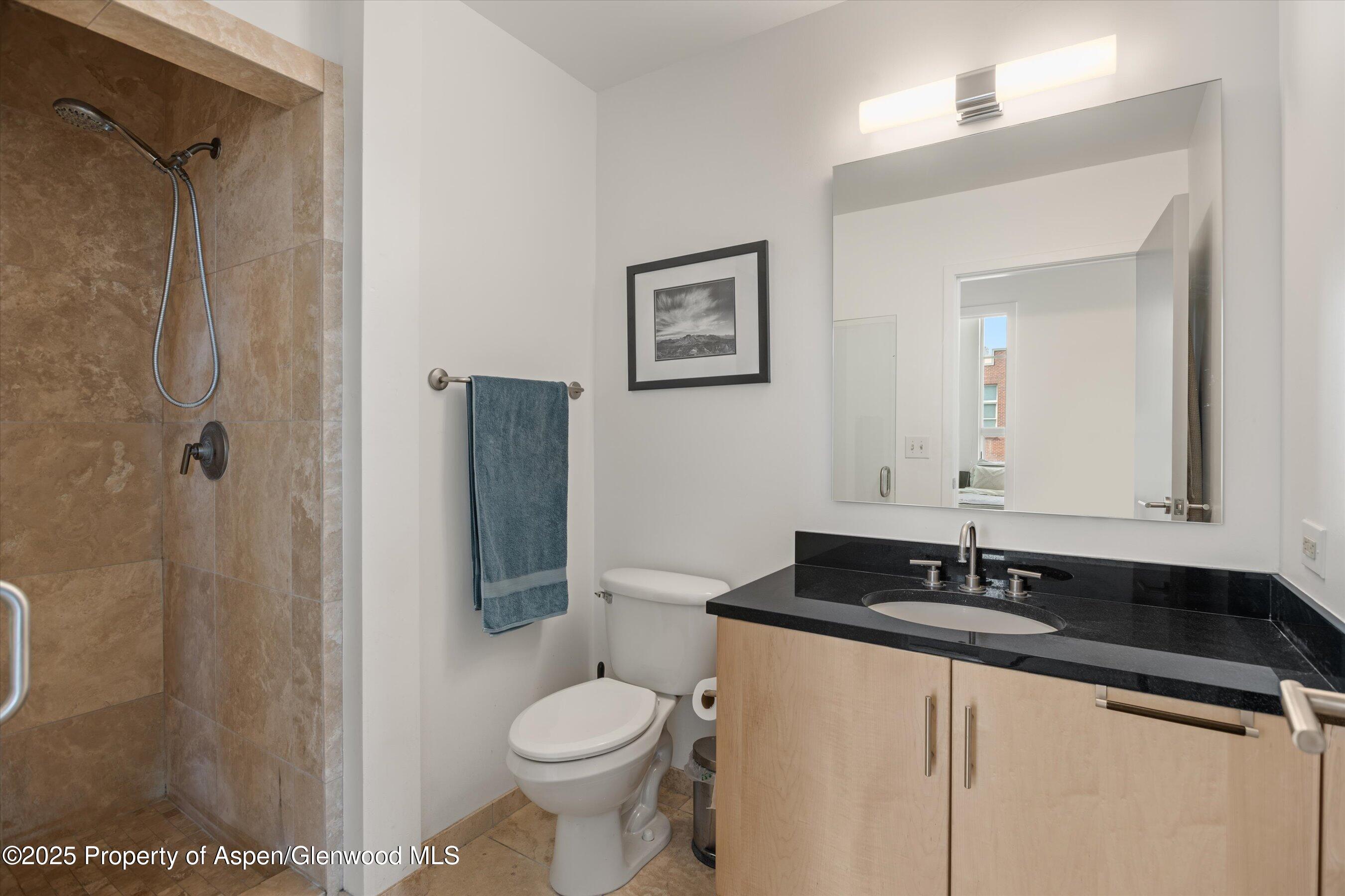 361 Robinson Street Basalt CO 81621