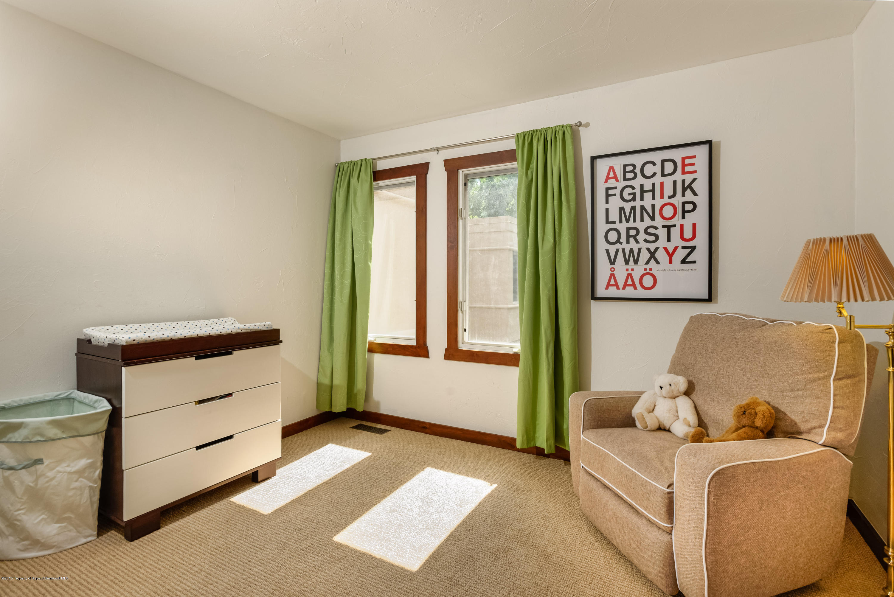 814 W Bleeker Street Aspen CO 81611