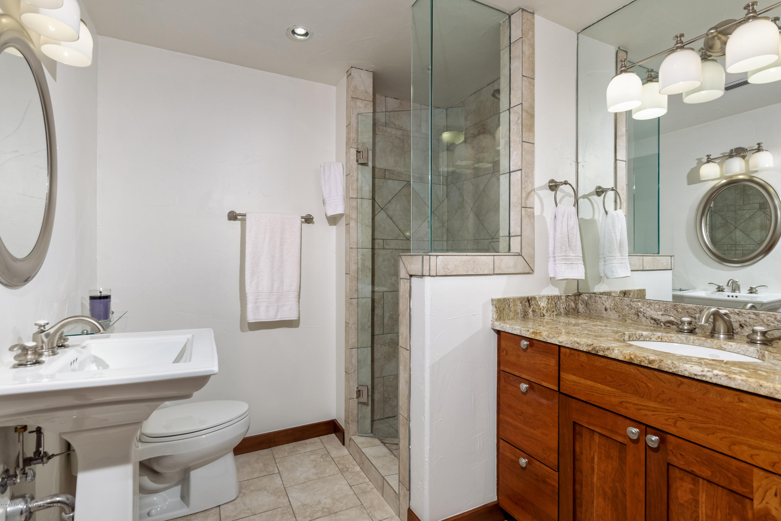 814 W Bleeker Street Aspen CO 81611