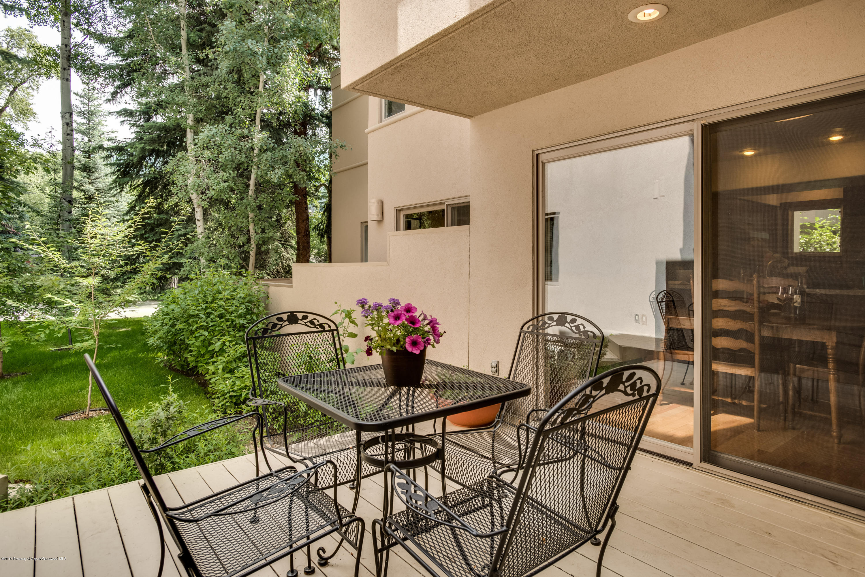 814 W Bleeker Street Aspen CO 81611