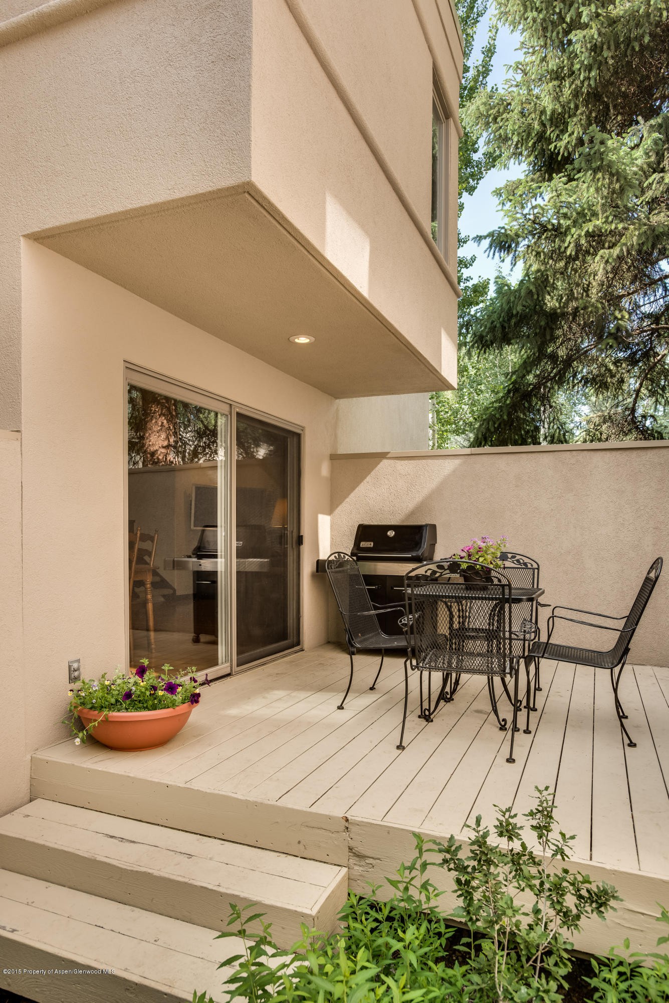 814 W Bleeker Street Aspen CO 81611