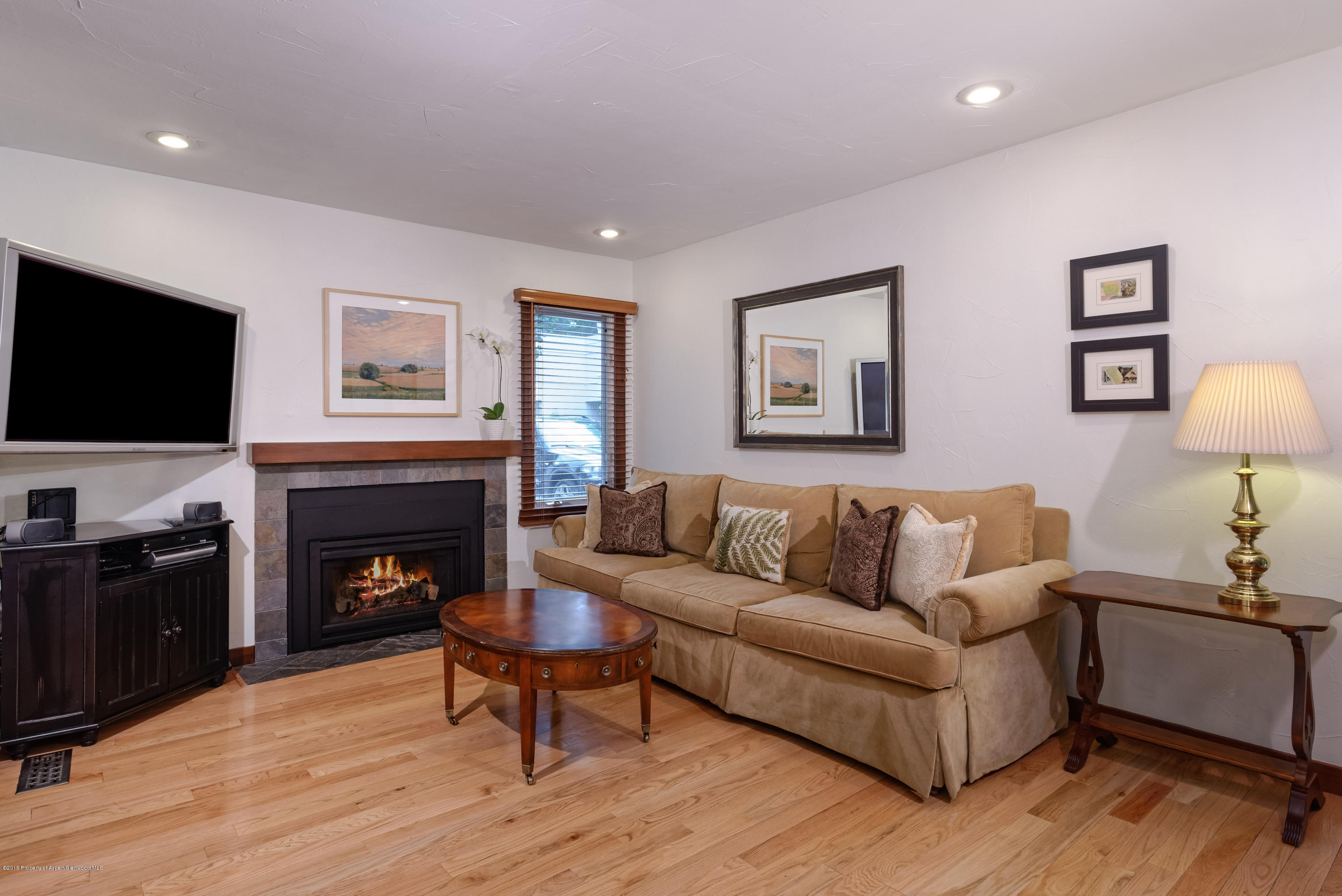 814 W Bleeker Street Aspen CO 81611