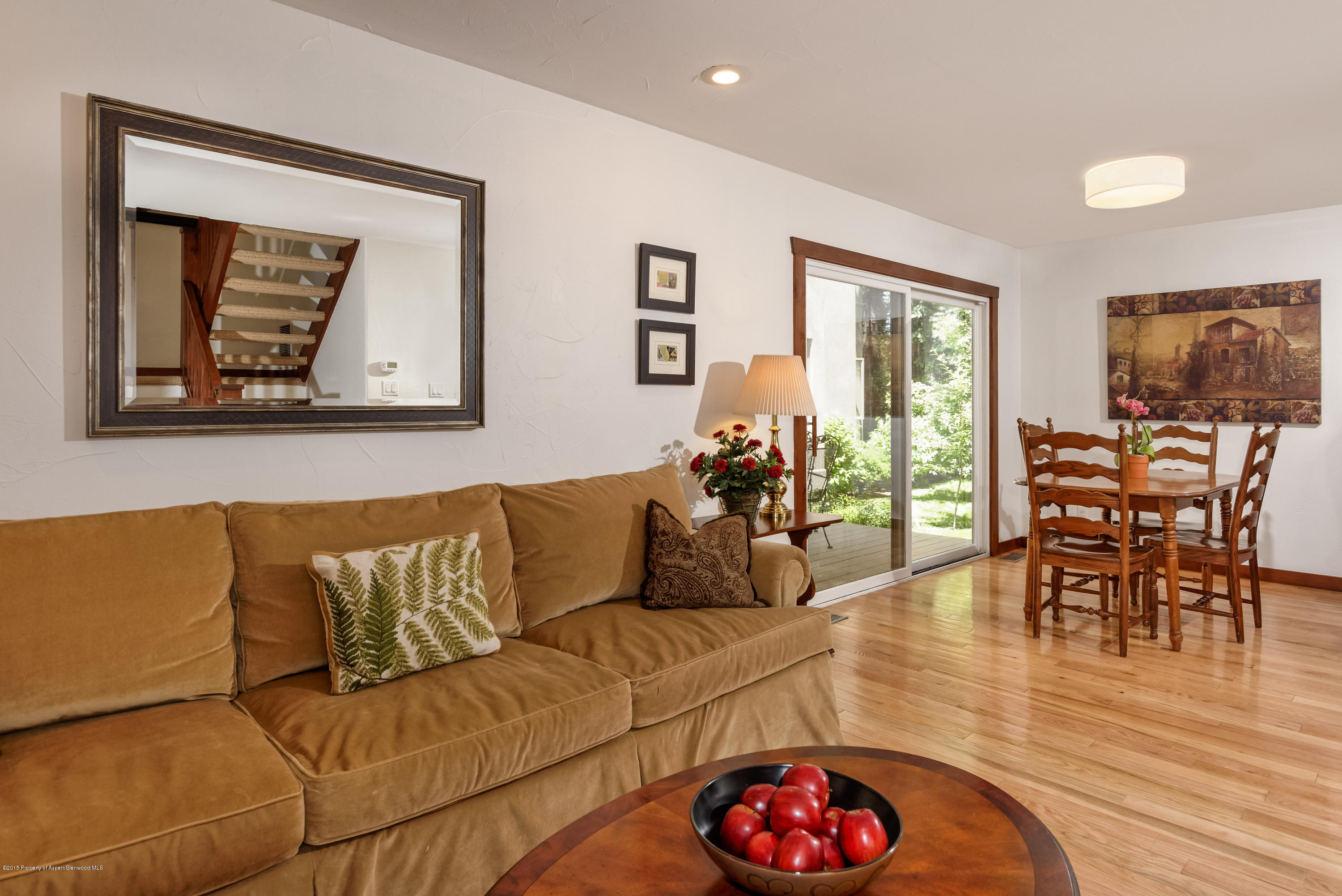 814 W Bleeker Street Aspen CO 81611