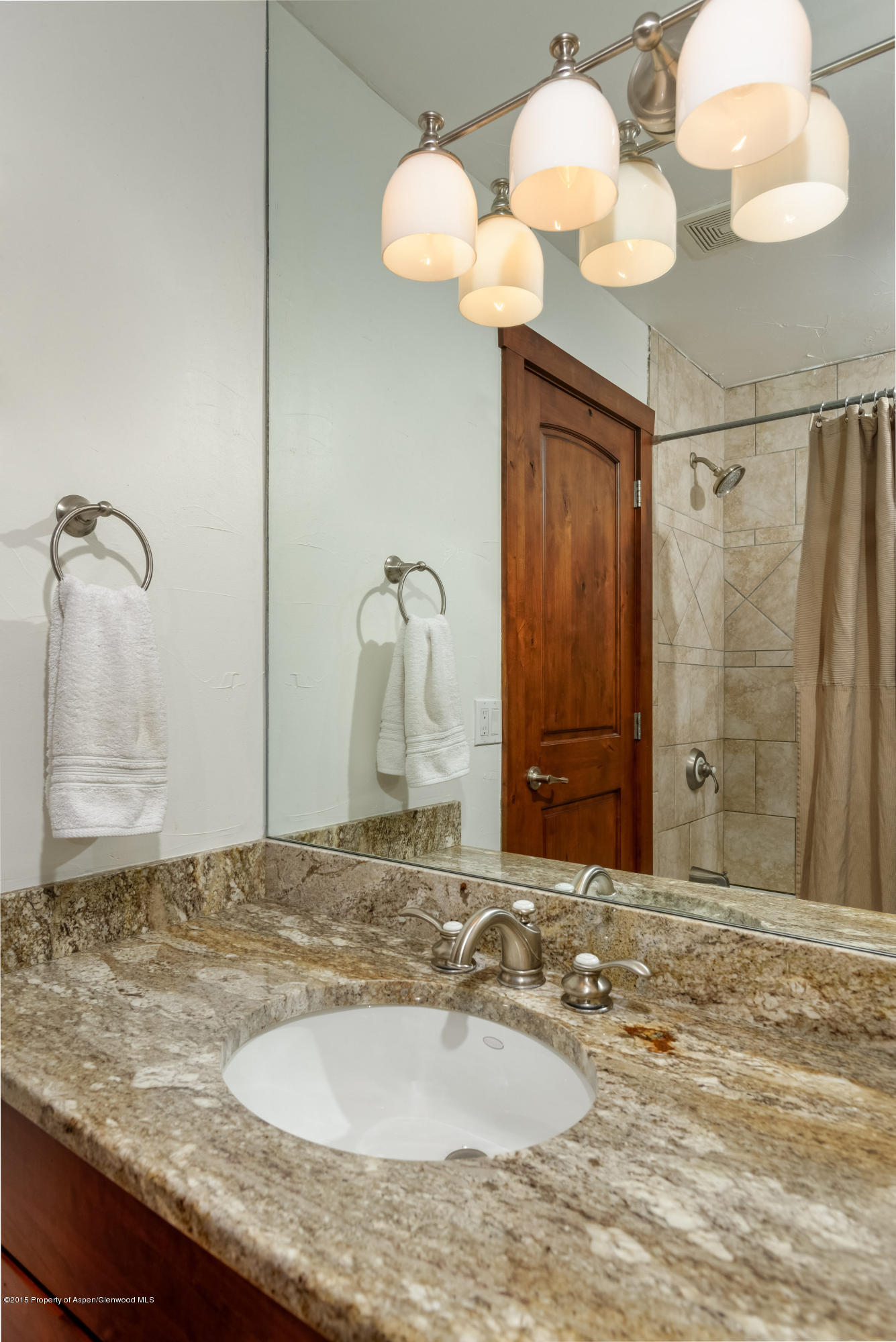 814 W Bleeker Street Aspen CO 81611