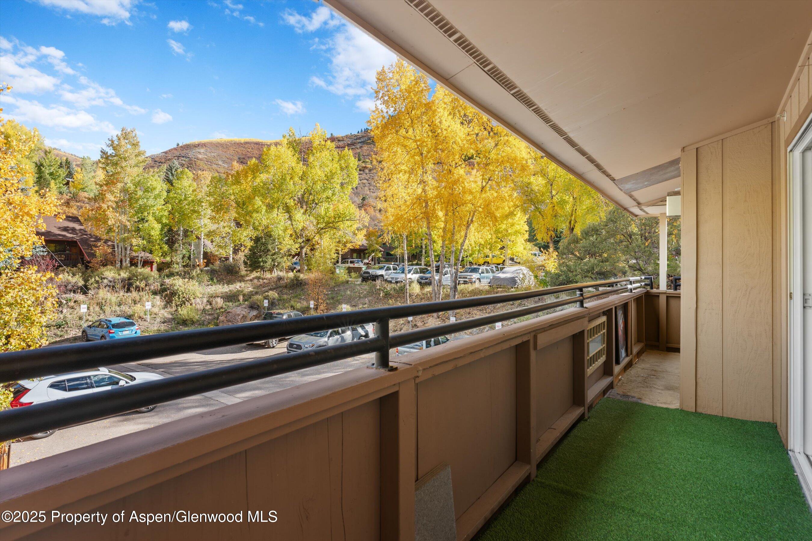 326 Midland Avenue Aspen CO 81611