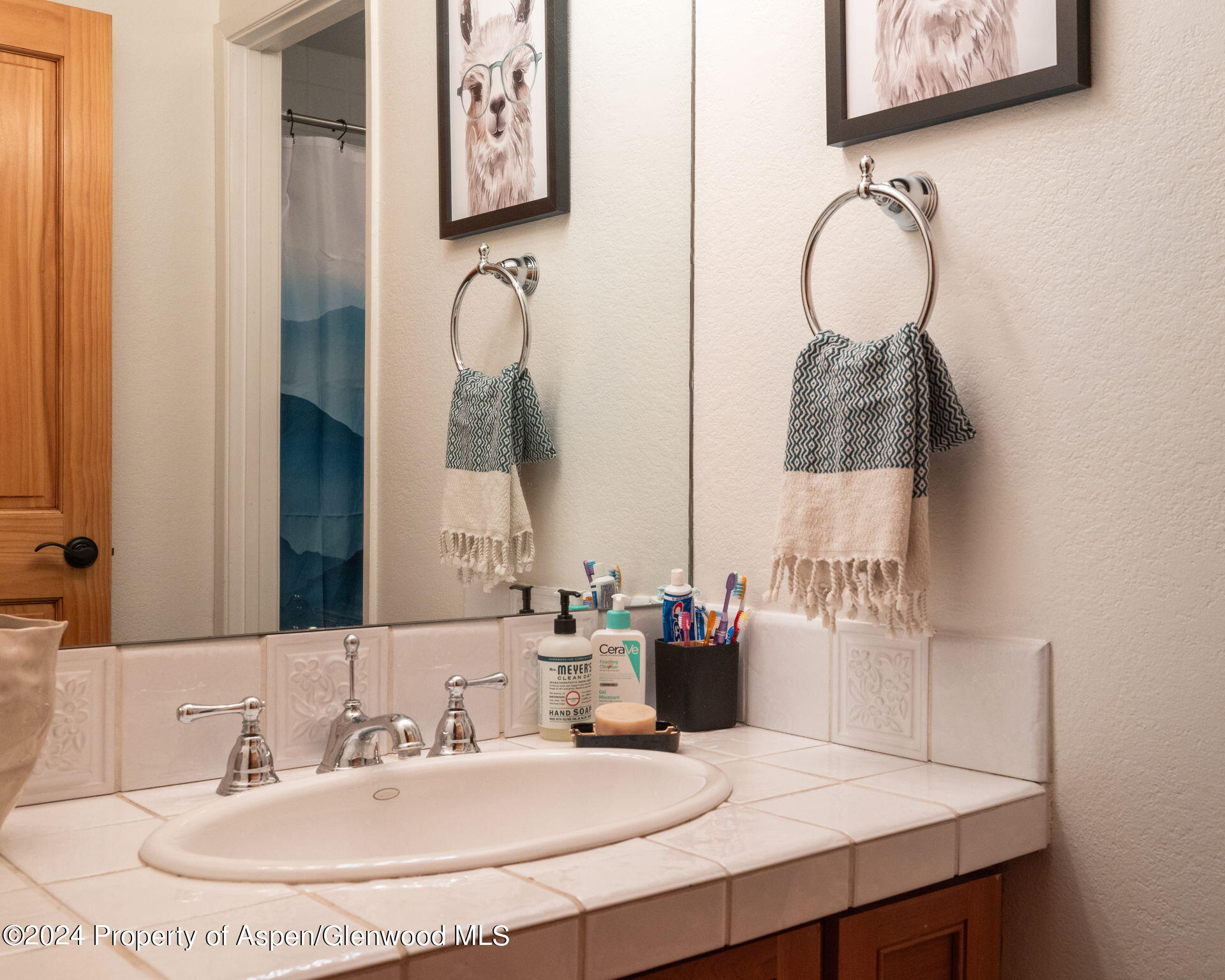 383 Meadow Ranch Snowmass Village CO 81615