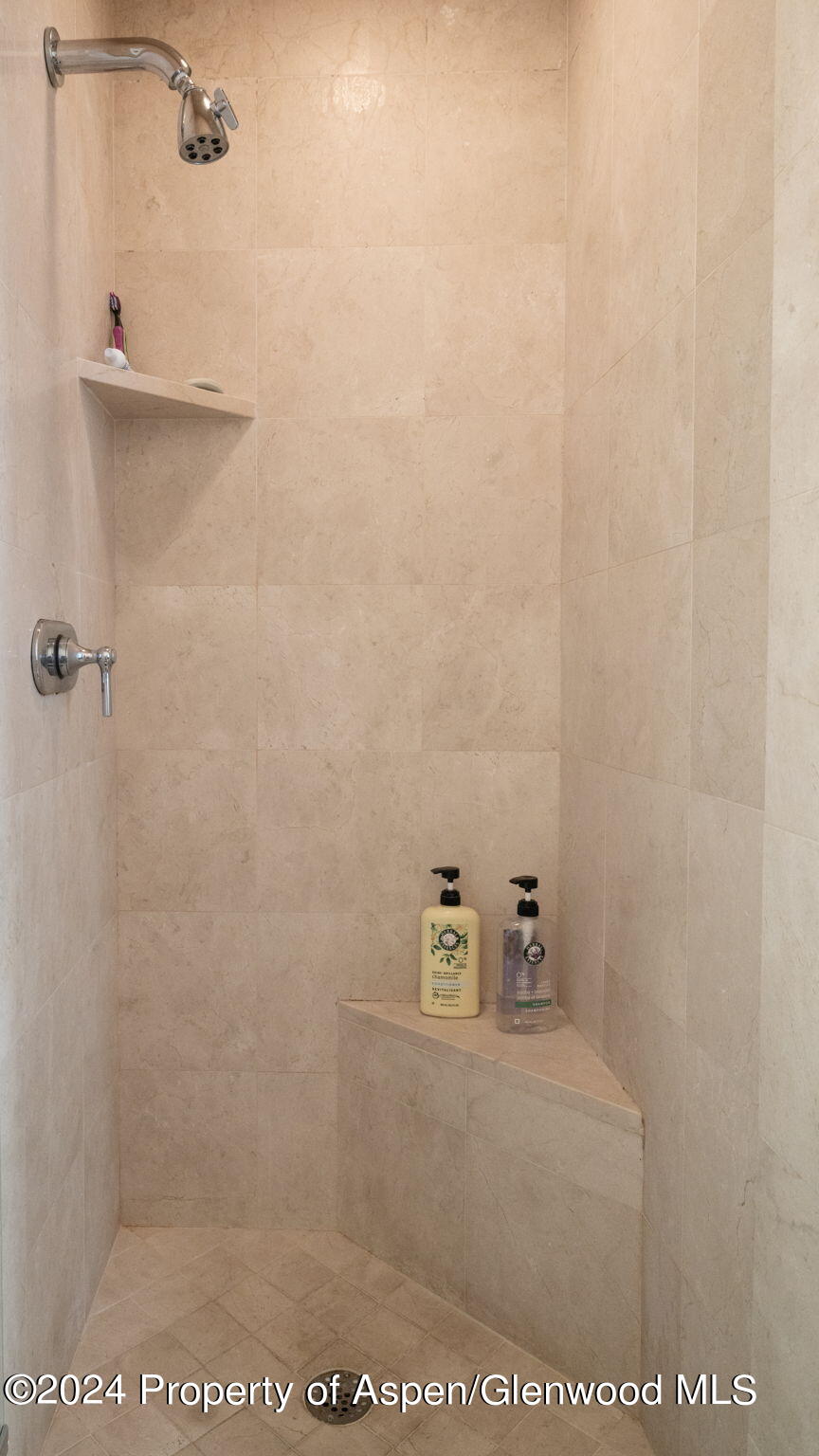 383 Meadow Ranch Snowmass Village CO 81615