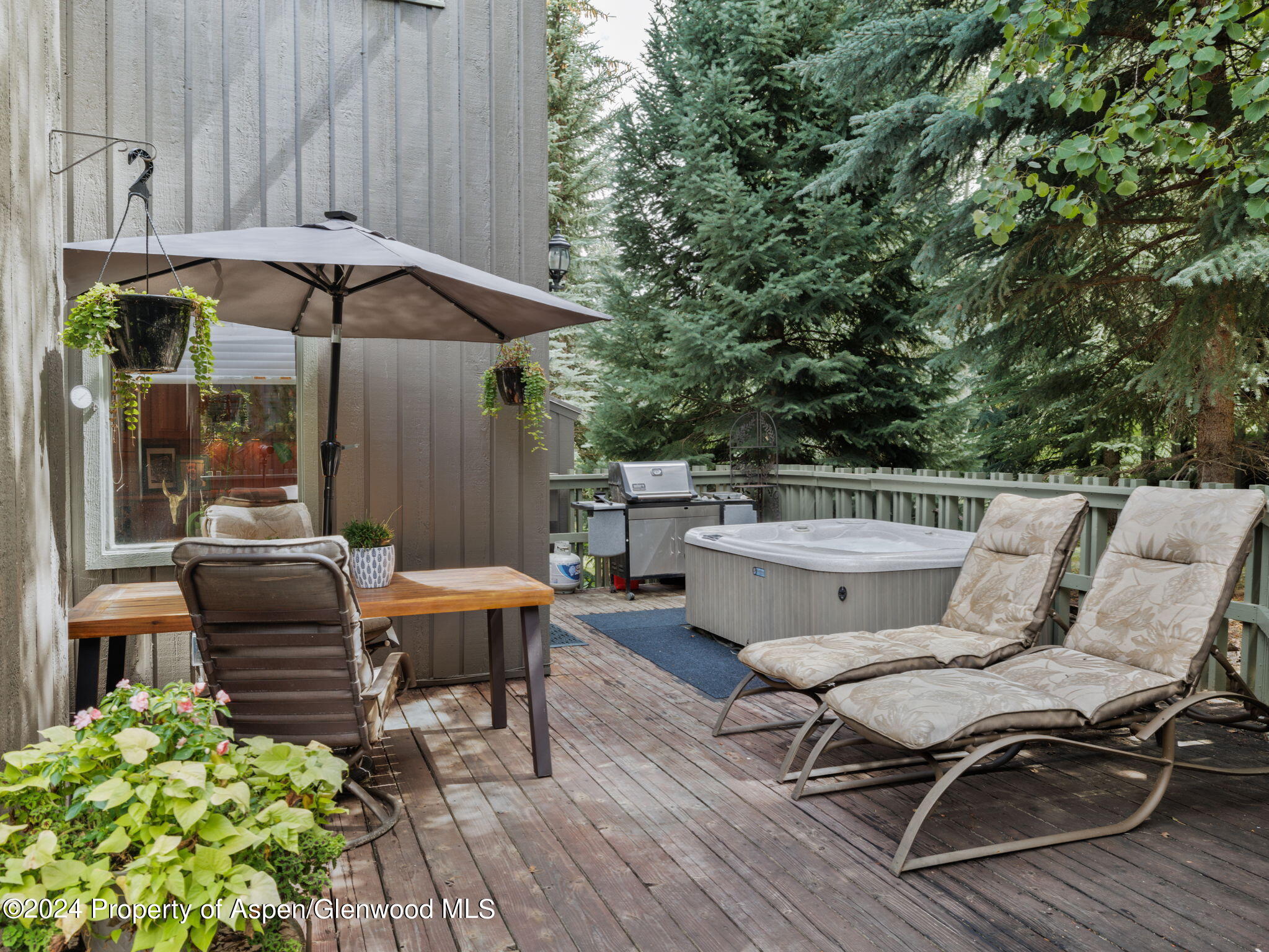 383 Meadow Ranch Snowmass Village CO 81615