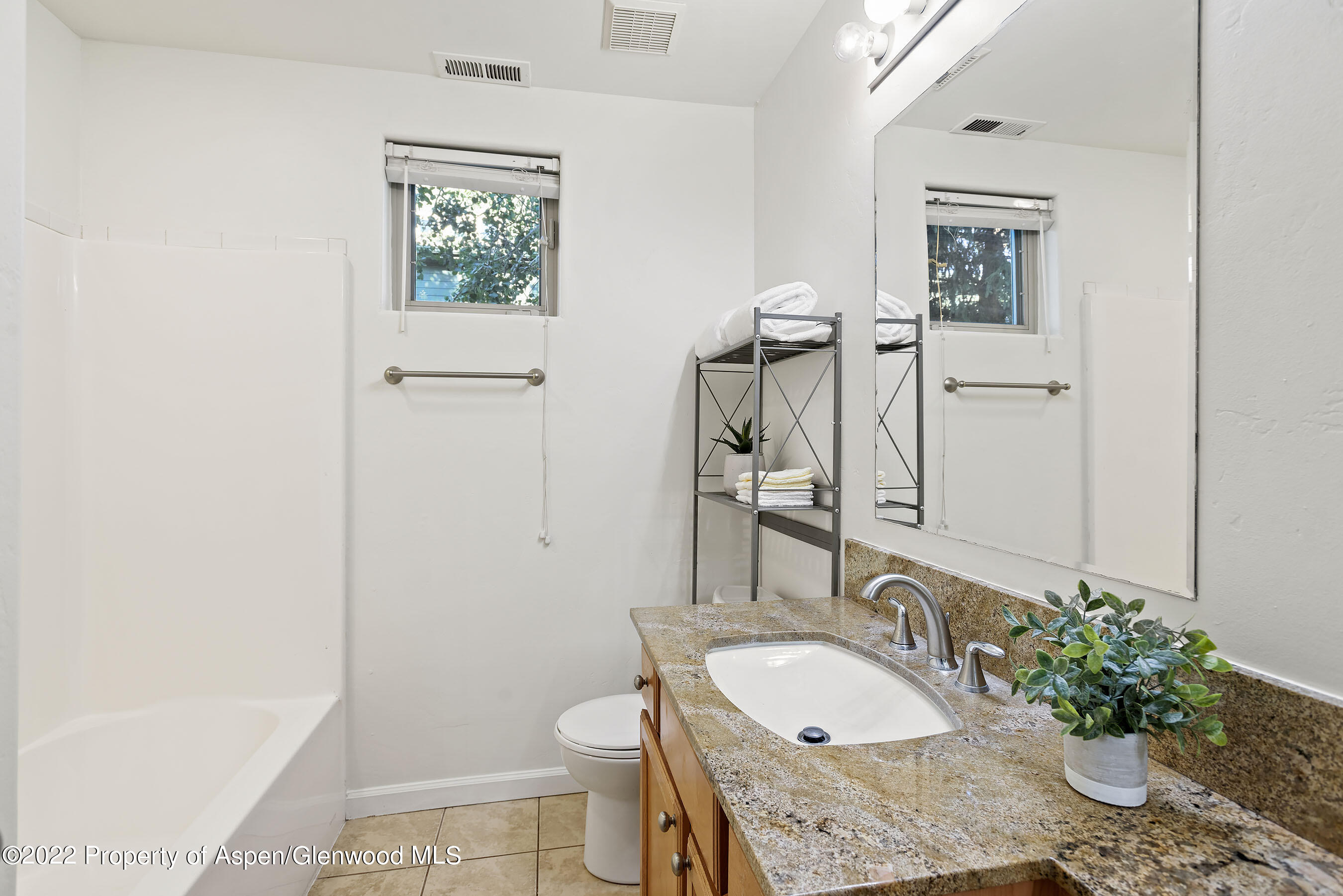 116 Lakeside Court Basalt CO 81621