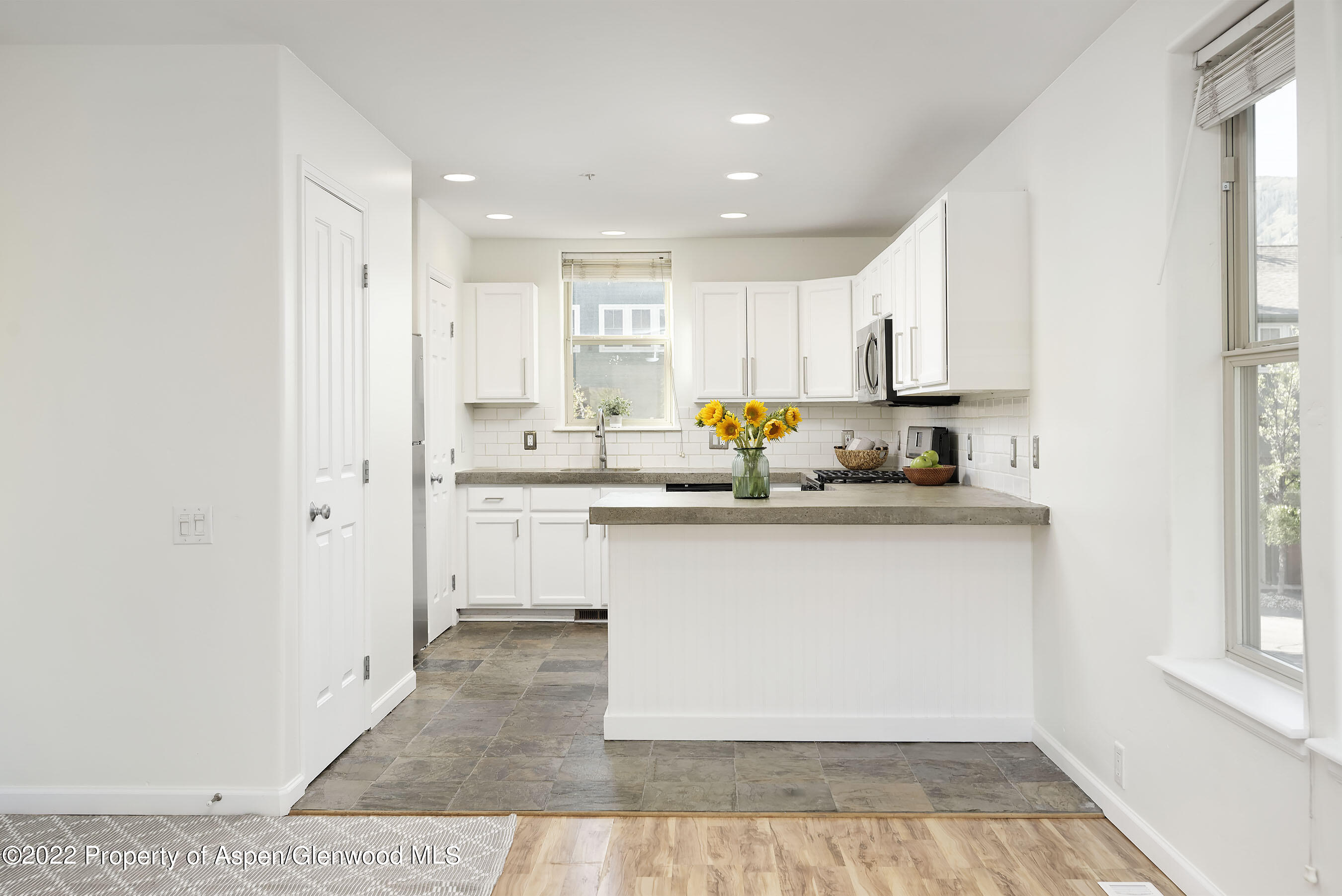 116 Lakeside Court Basalt CO 81621