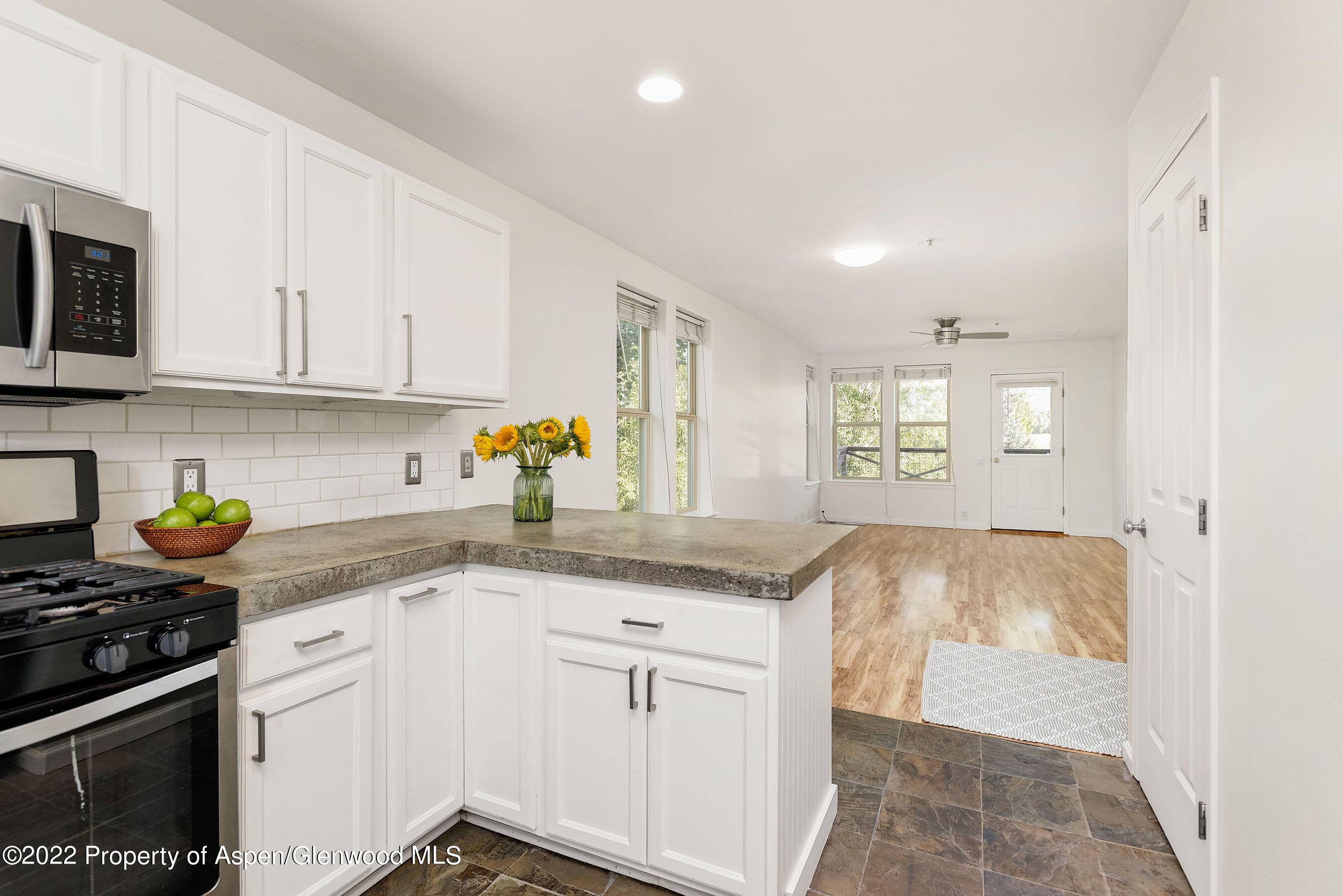 116 Lakeside Court Basalt CO 81621