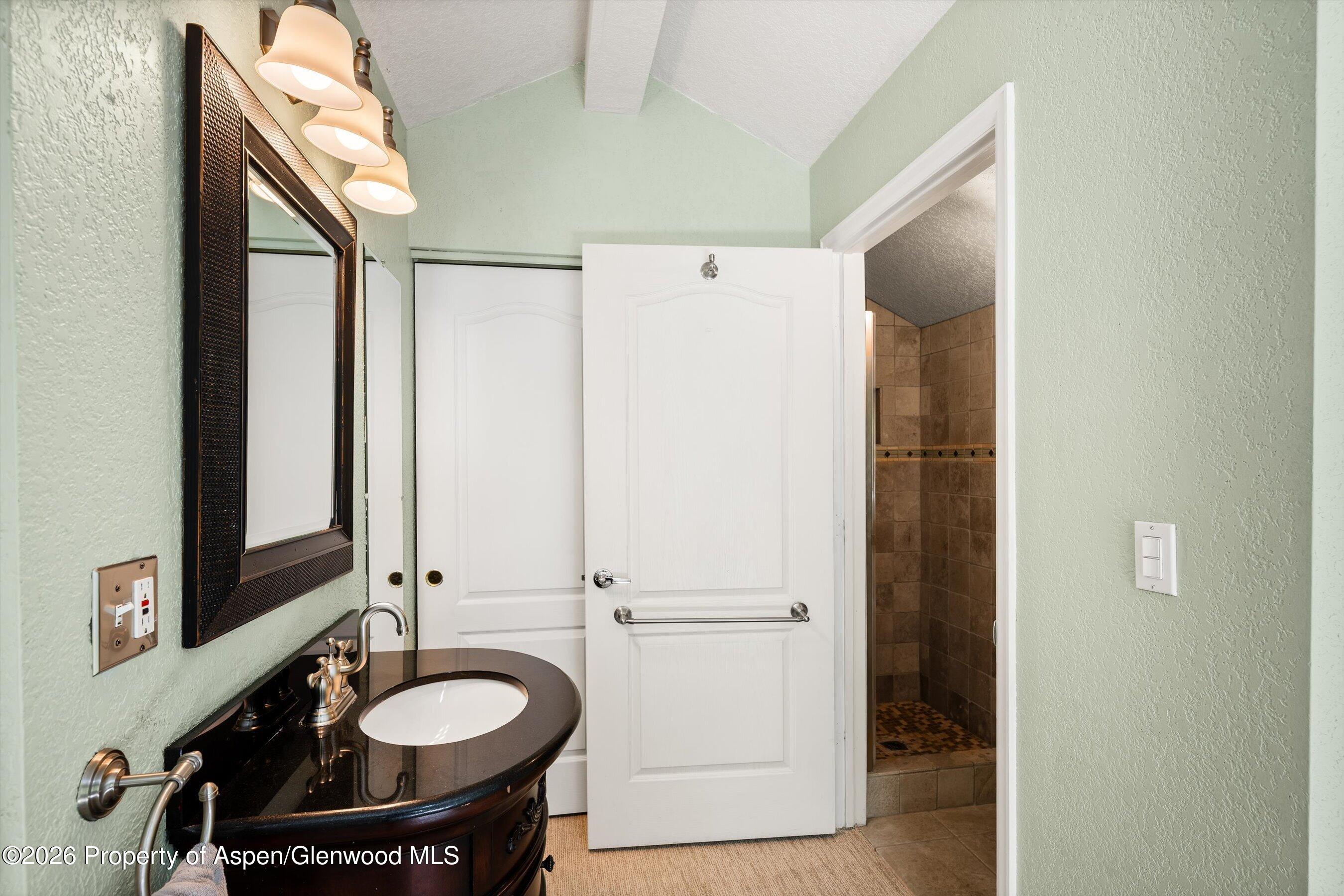 5202 Elk Lane Basalt CO 81621