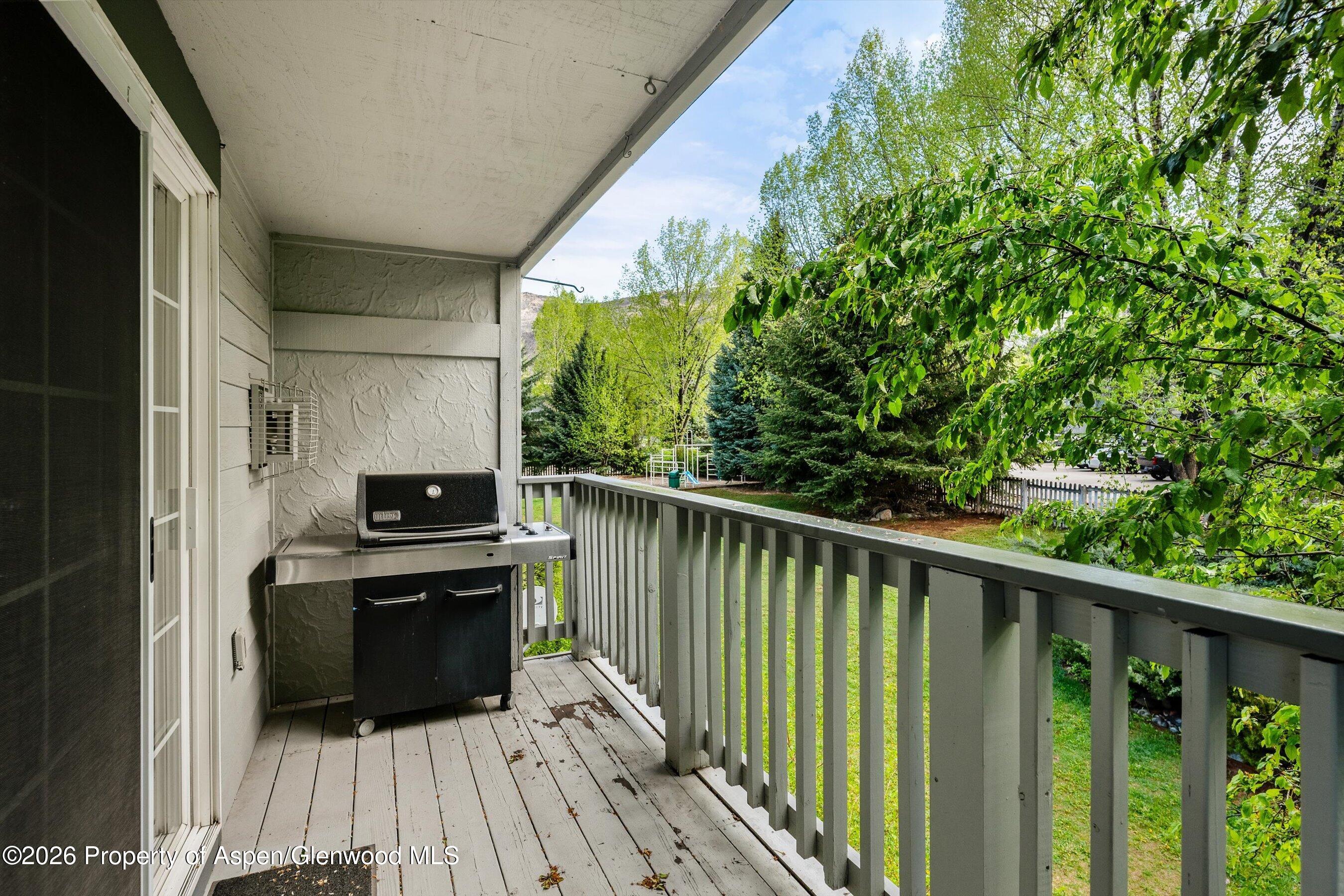 5202 Elk Lane Basalt CO 81621