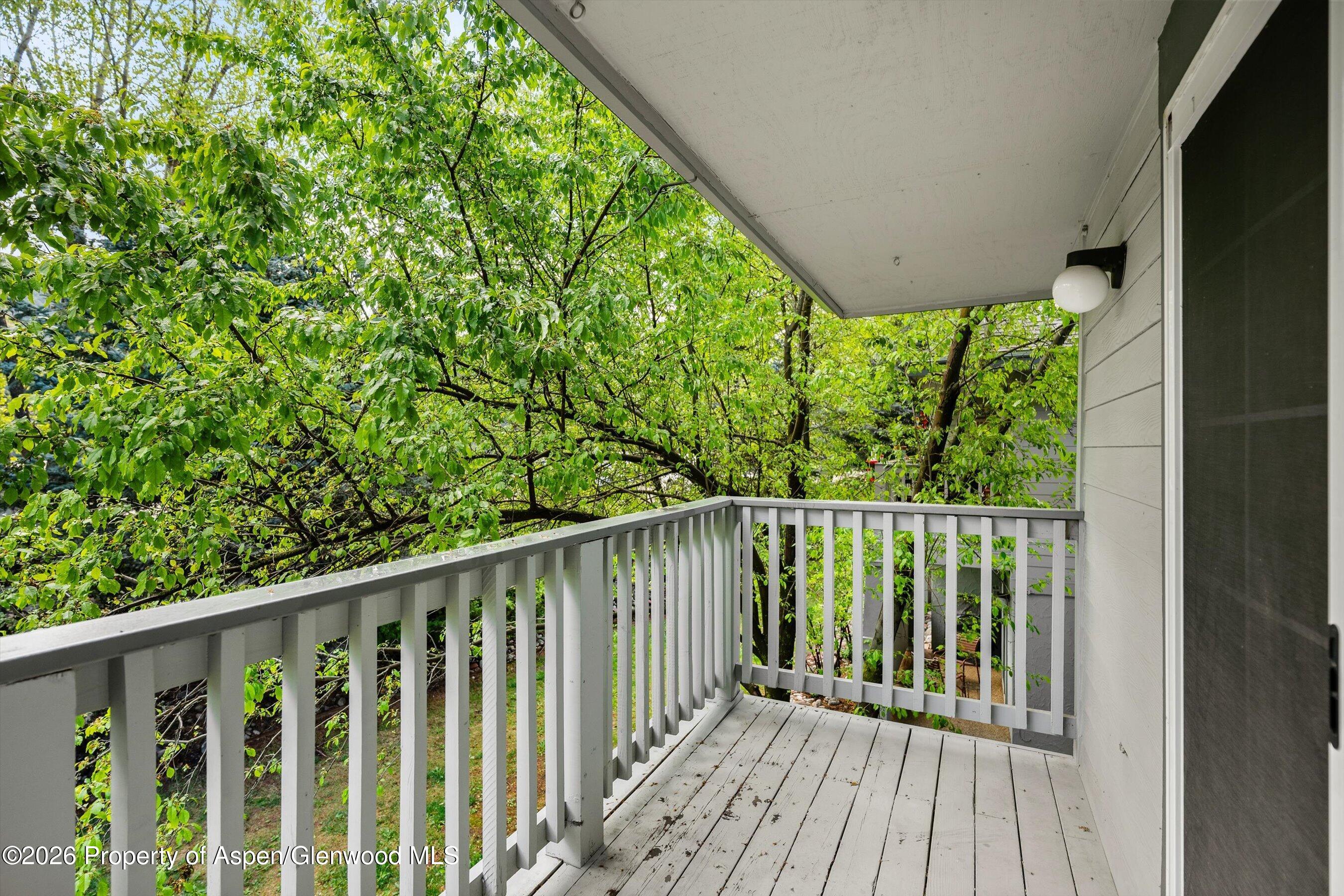 5202 Elk Lane Basalt CO 81621