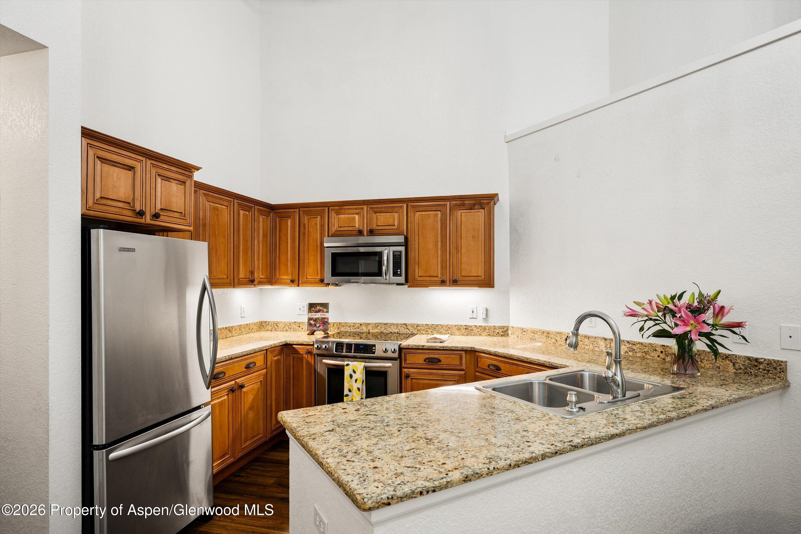 5202 Elk Lane Basalt CO 81621