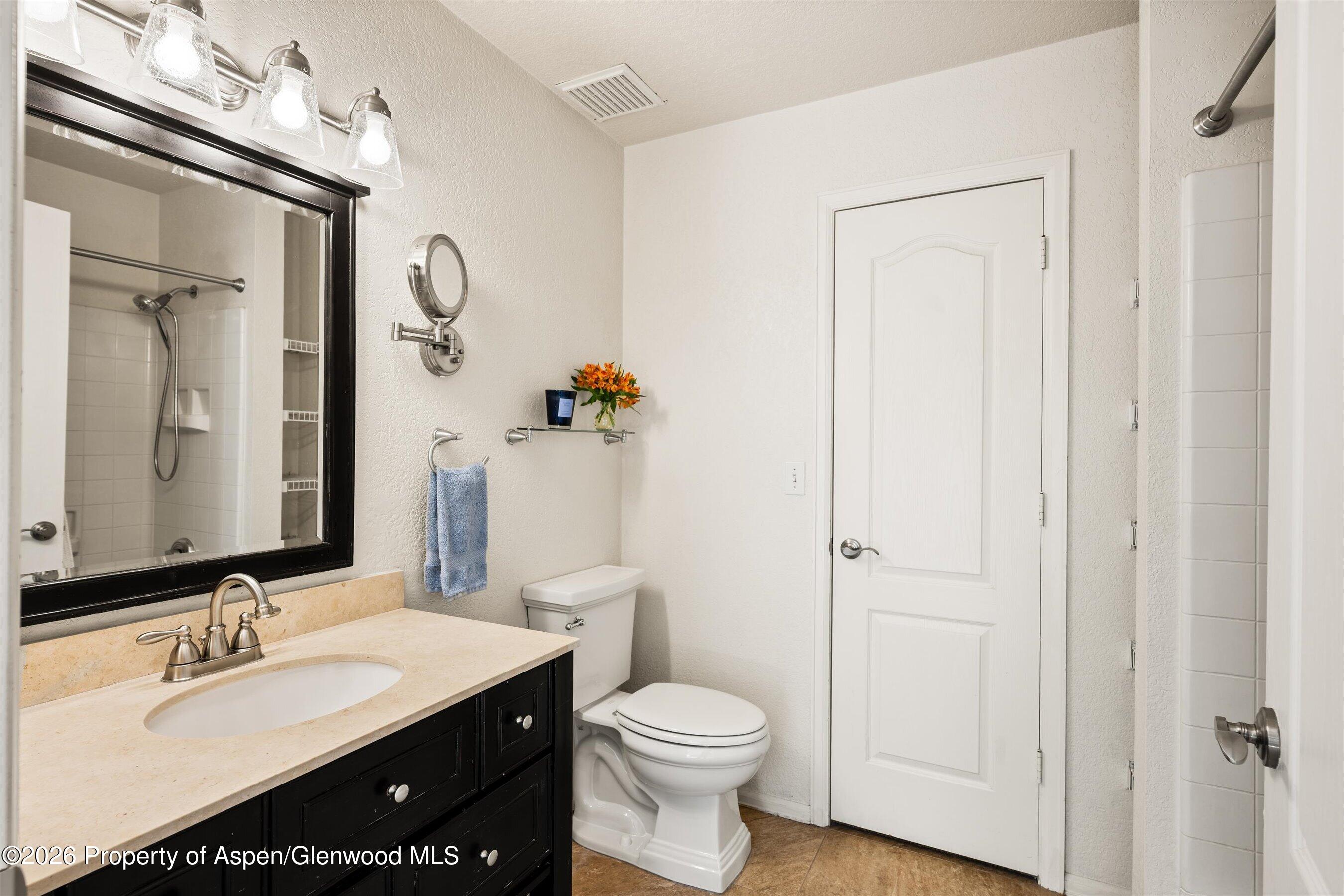 5202 Elk Lane Basalt CO 81621