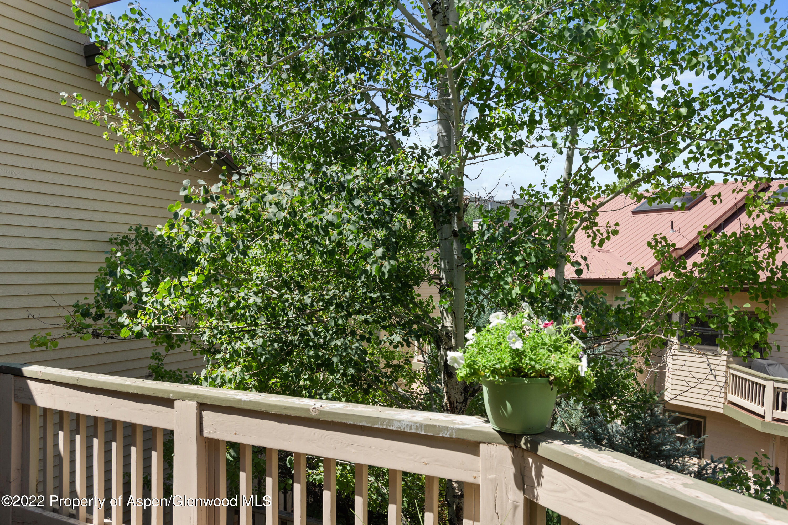 1523 Mockingbird Lane Basalt CO 81621