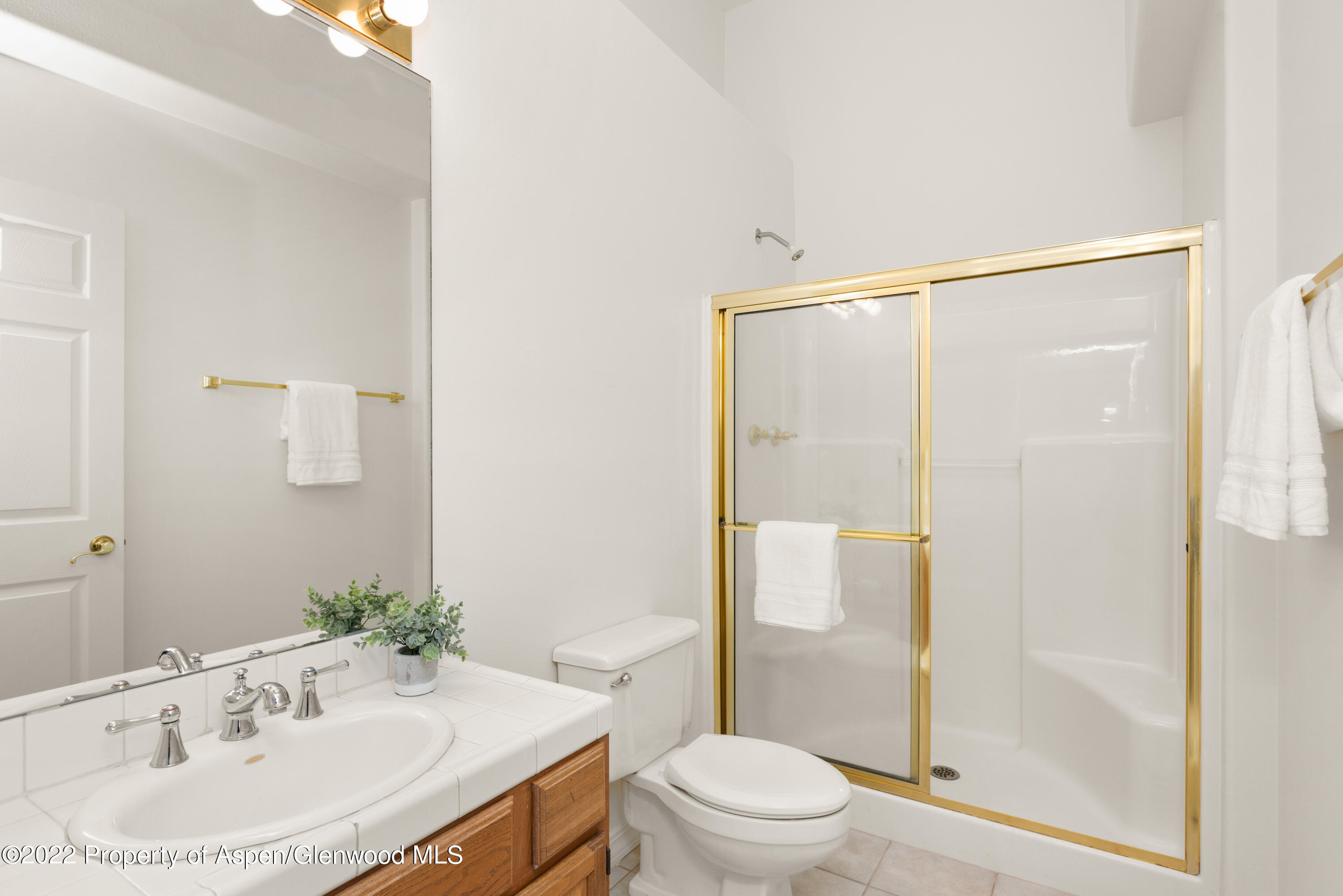 1523 Mockingbird Lane Basalt CO 81621