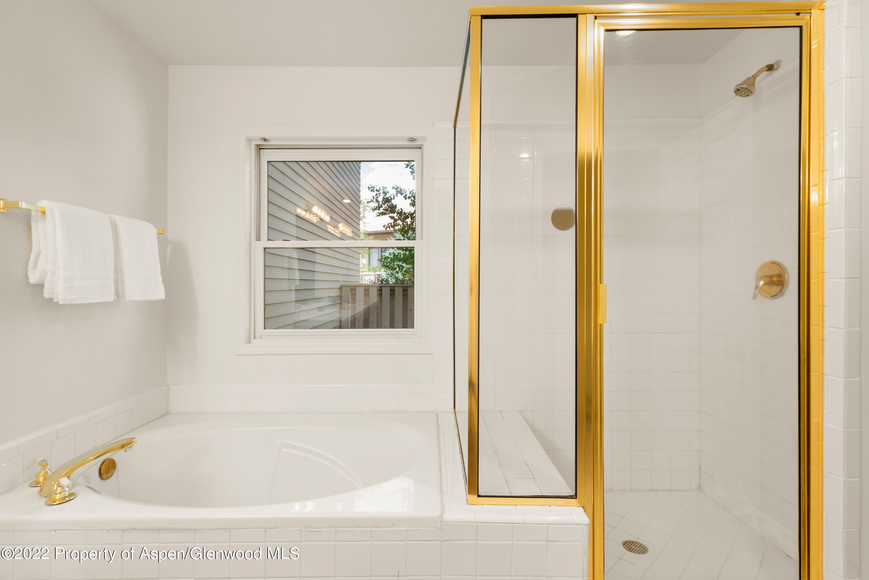 1523 Mockingbird Lane Basalt CO 81621