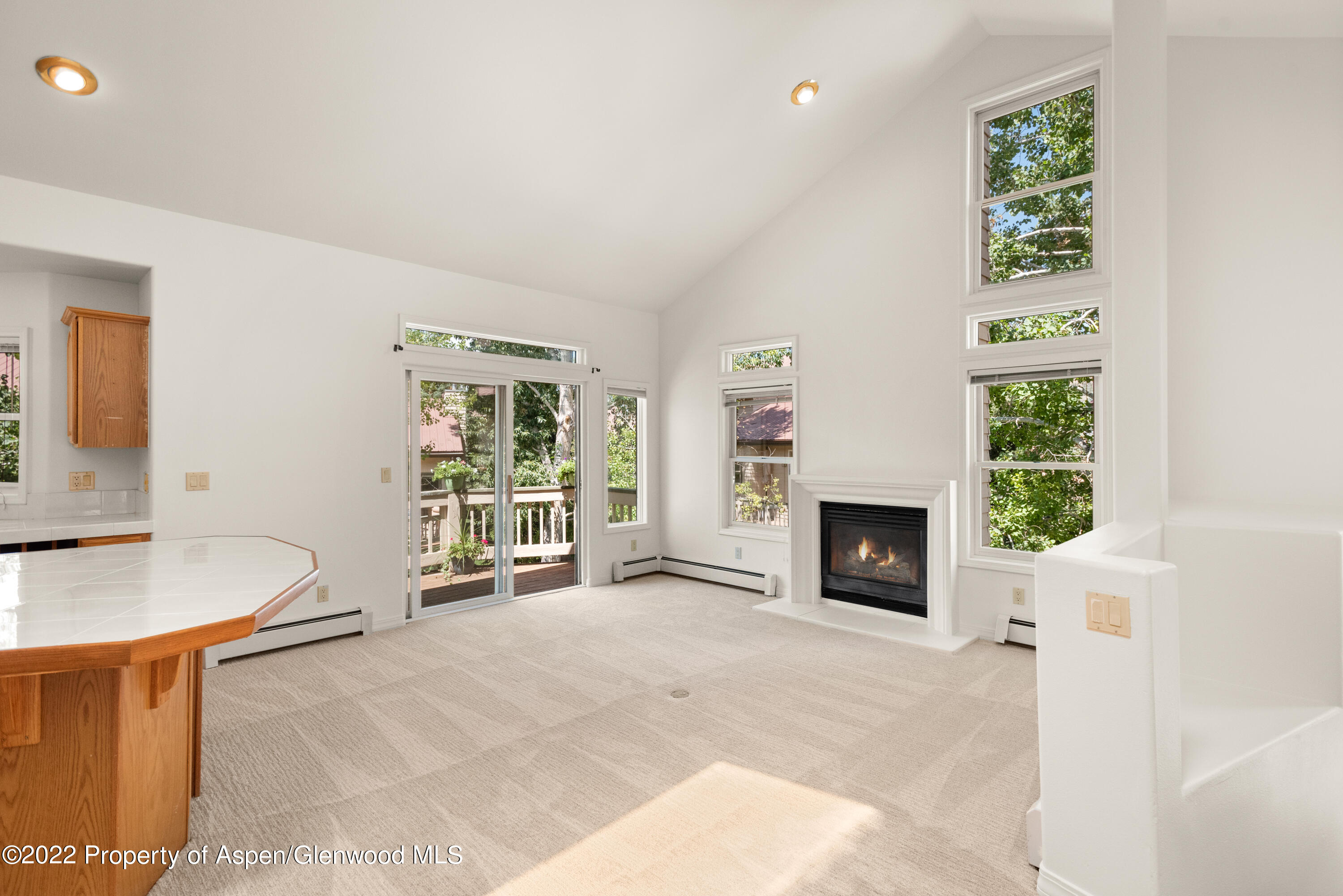 1523 Mockingbird Lane Basalt CO 81621