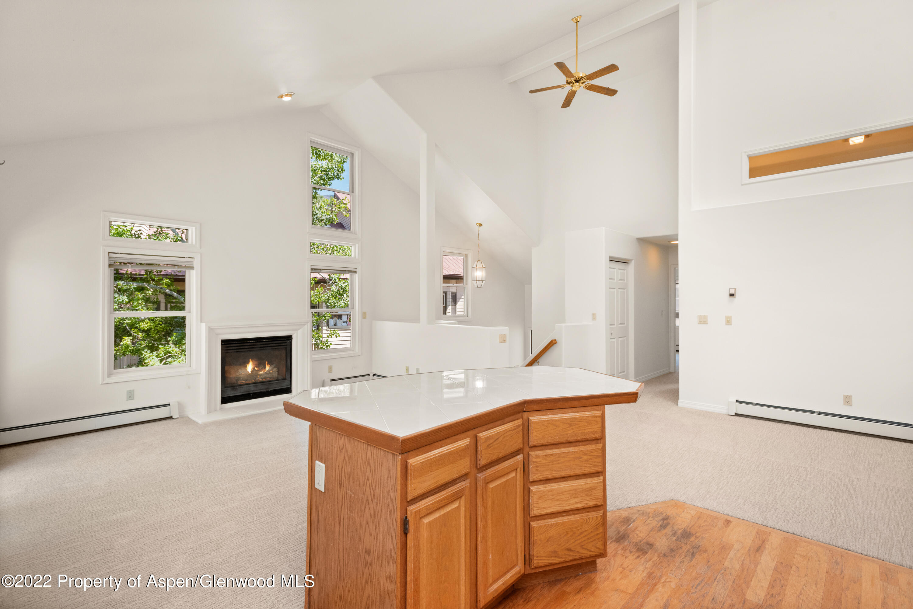 1523 Mockingbird Lane Basalt CO 81621