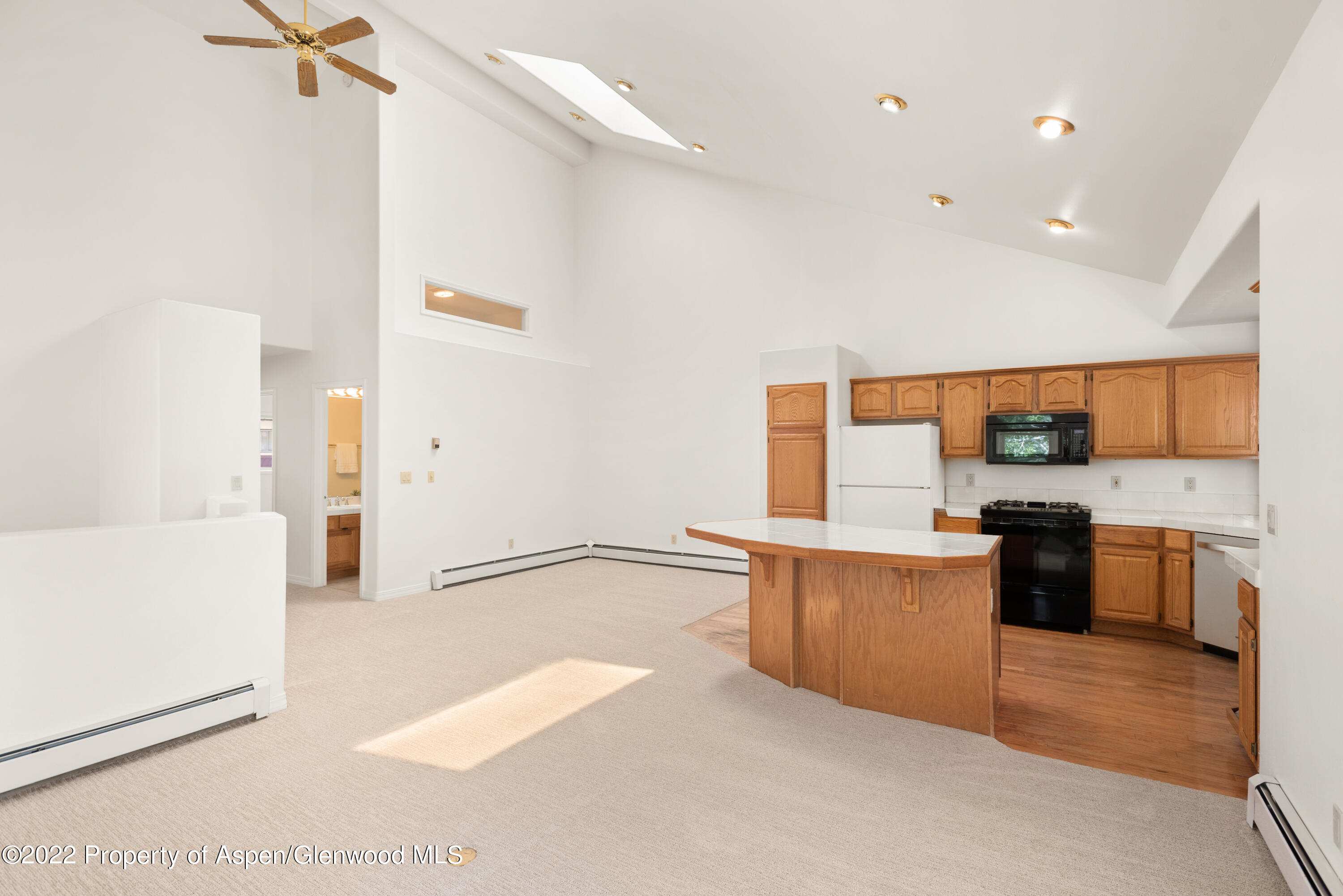 1523 Mockingbird Lane Basalt CO 81621