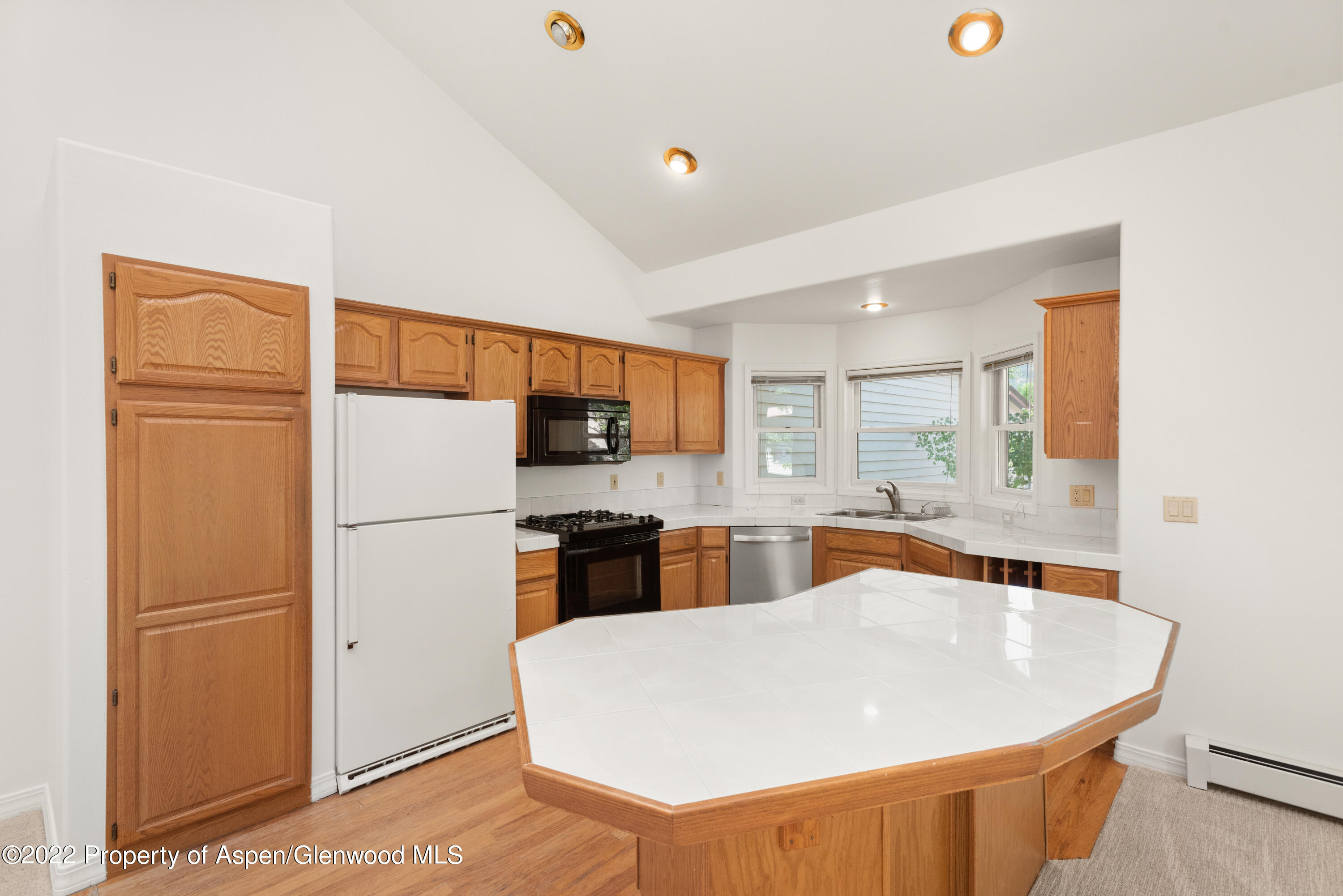 1523 Mockingbird Lane Basalt CO 81621