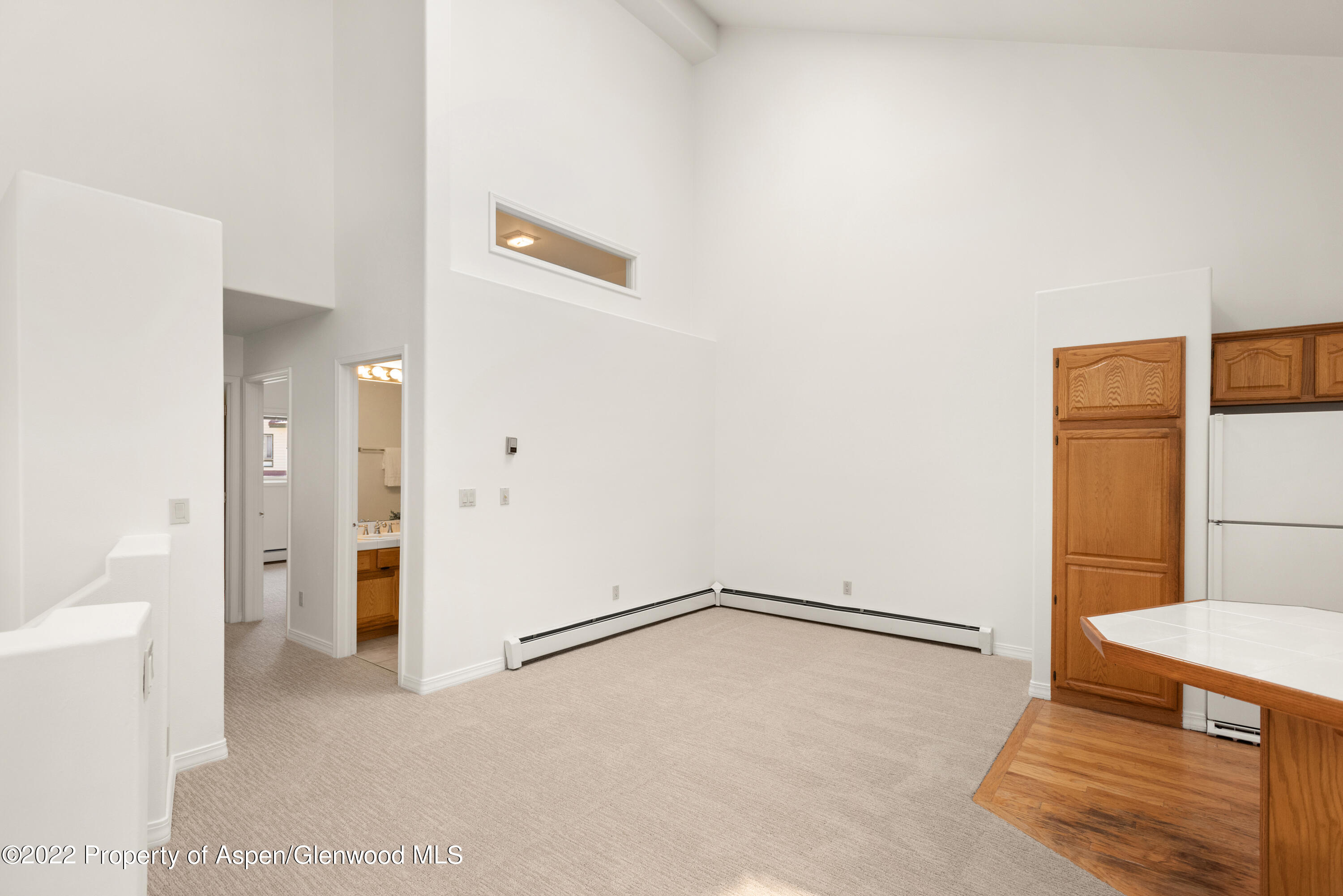 1523 Mockingbird Lane Basalt CO 81621