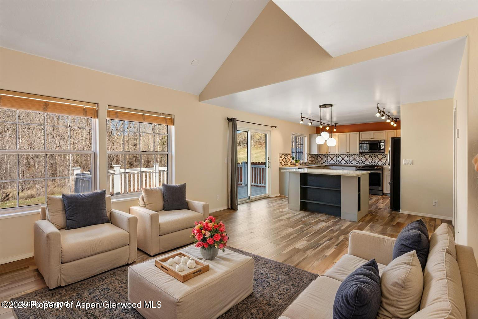 721 Pine Court New Castle CO 81647