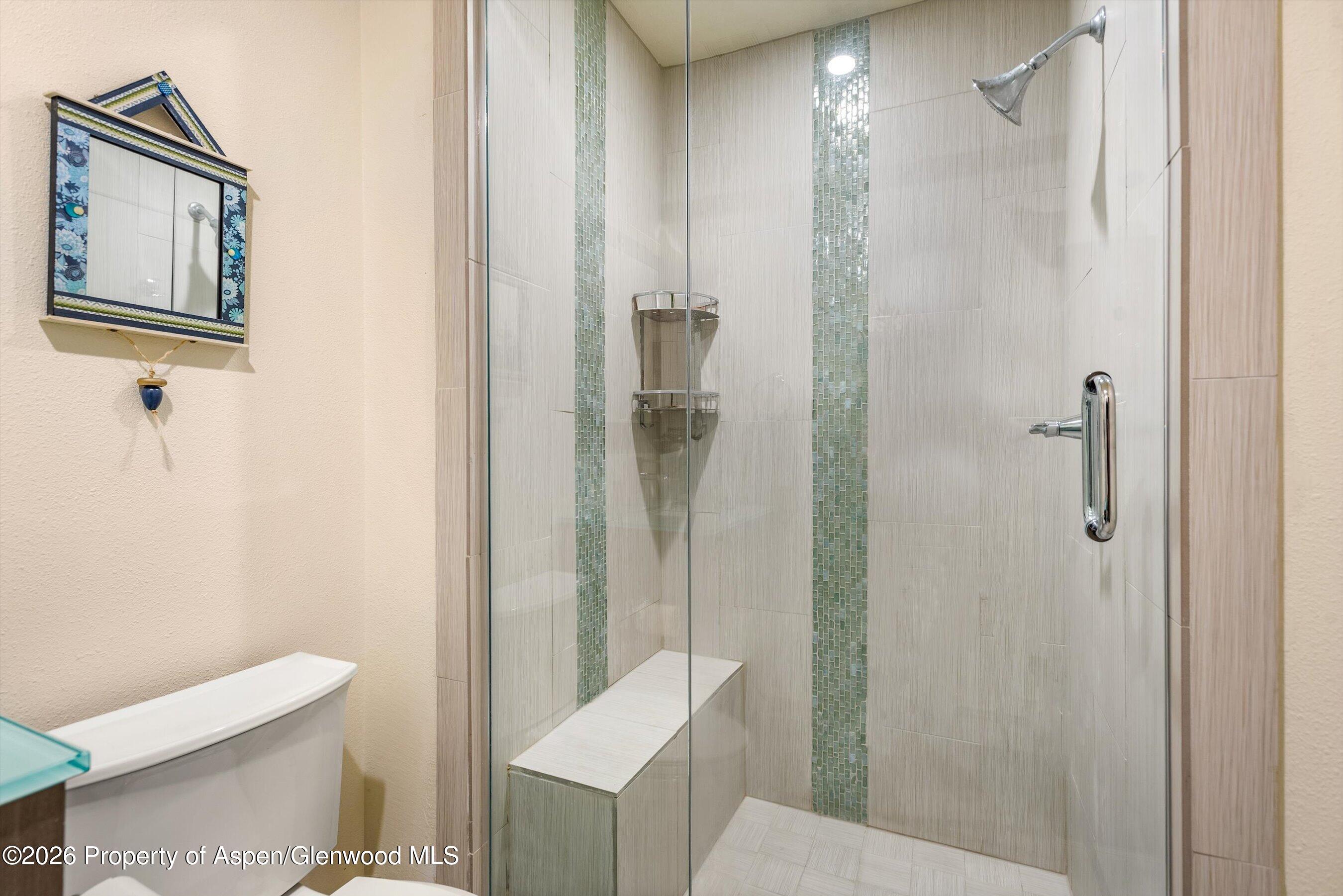 82 Silverado Drive Basalt CO 81621