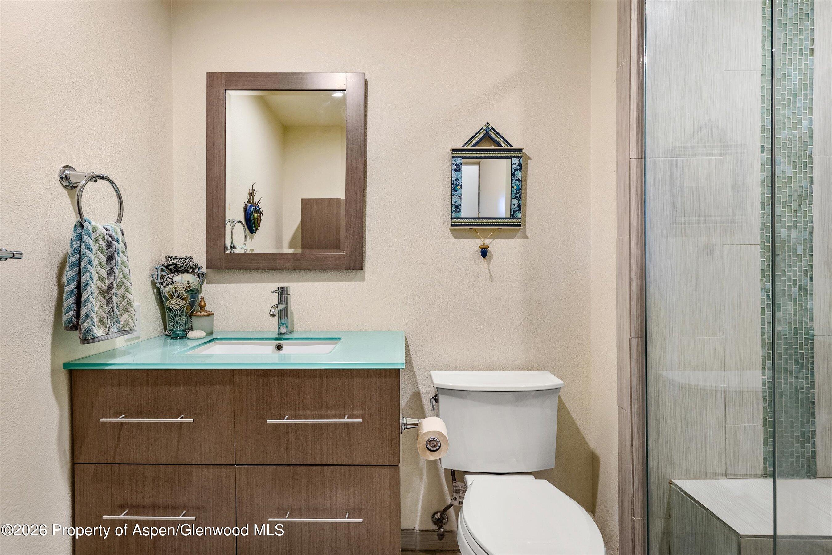 82 Silverado Drive Basalt CO 81621