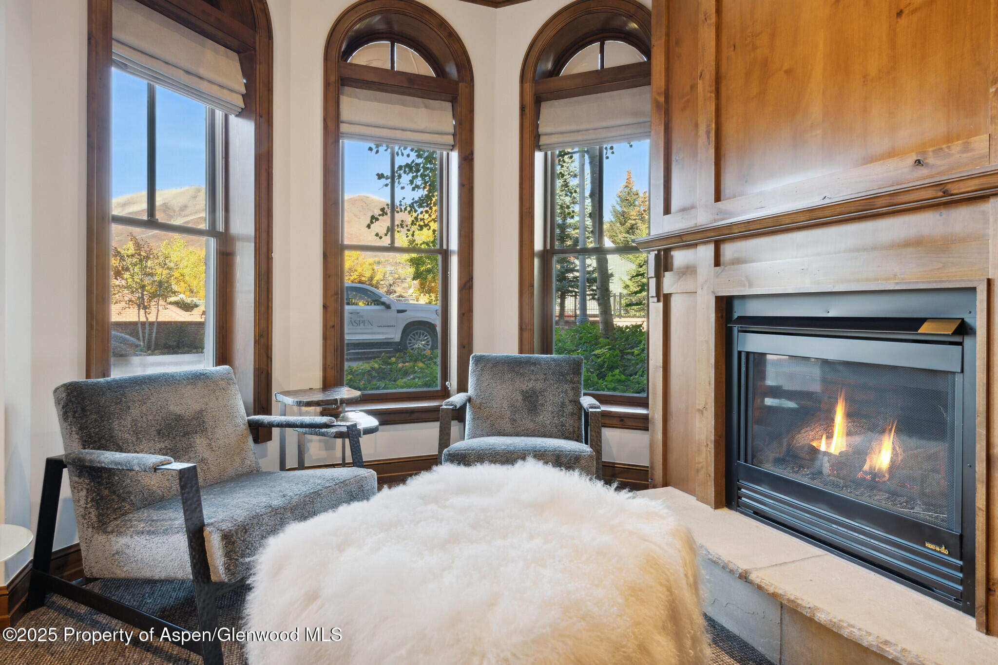 415 E Dean St, Unit 2, Week 31 Aspen CO 81611