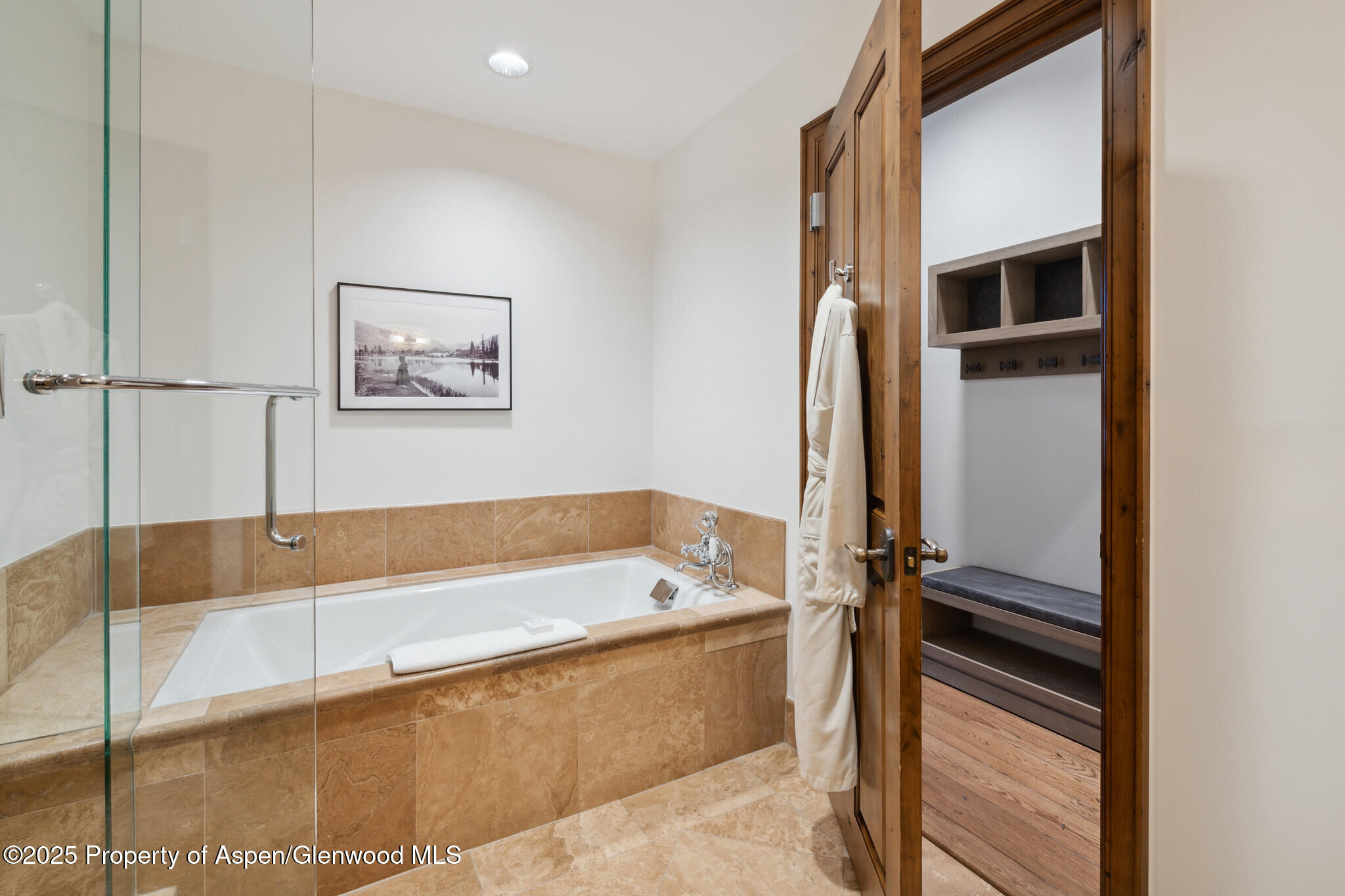 415 E Dean St, Unit 2, Week 31 Aspen CO 81611