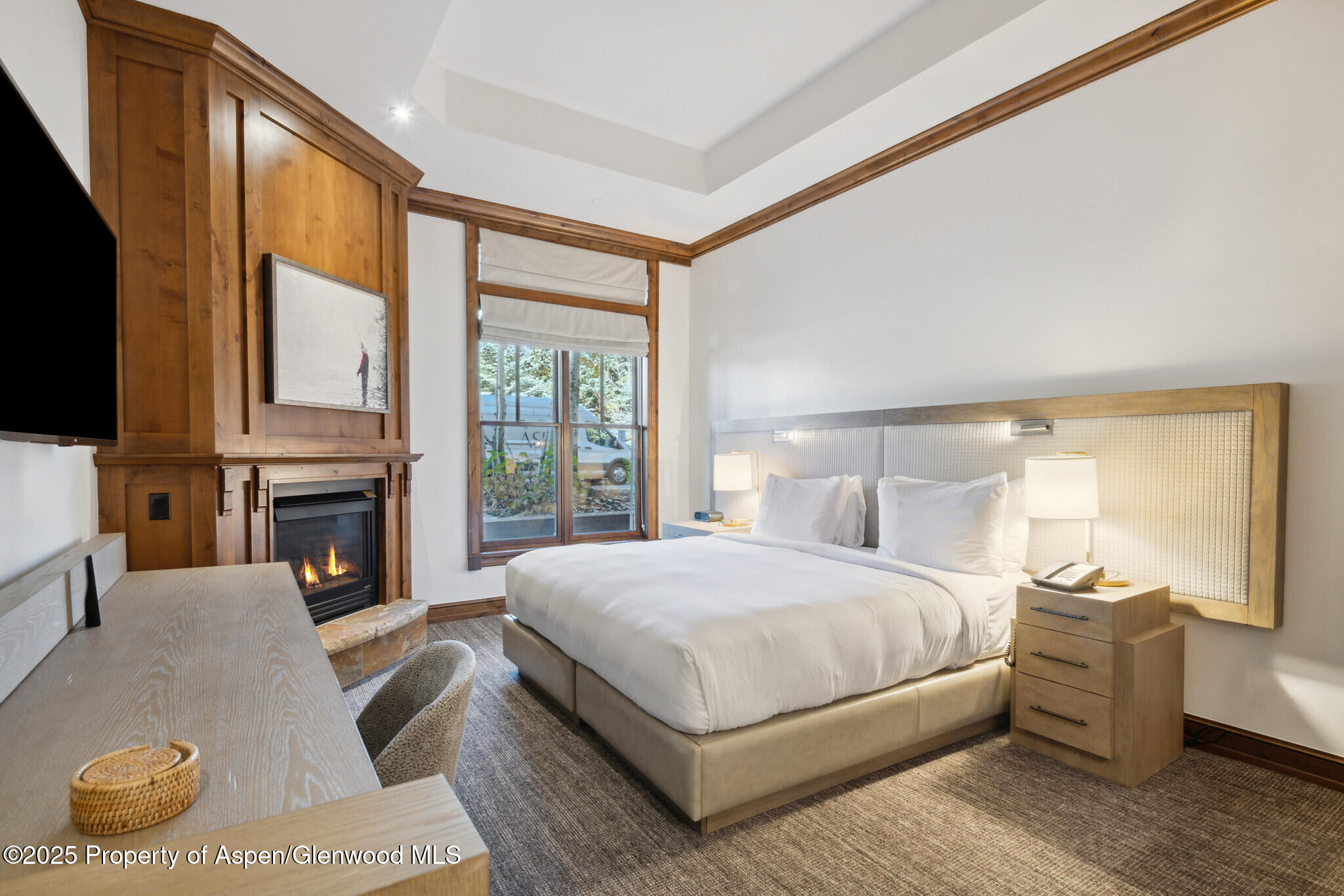 415 E Dean St, Unit 2, Week 31 Aspen CO 81611