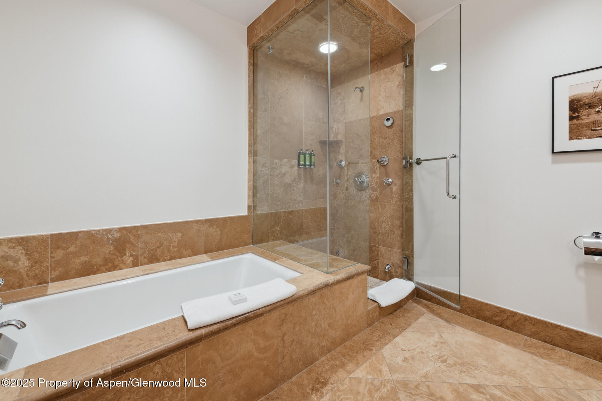 415 E Dean St, Unit 2, Week 31 Aspen CO 81611