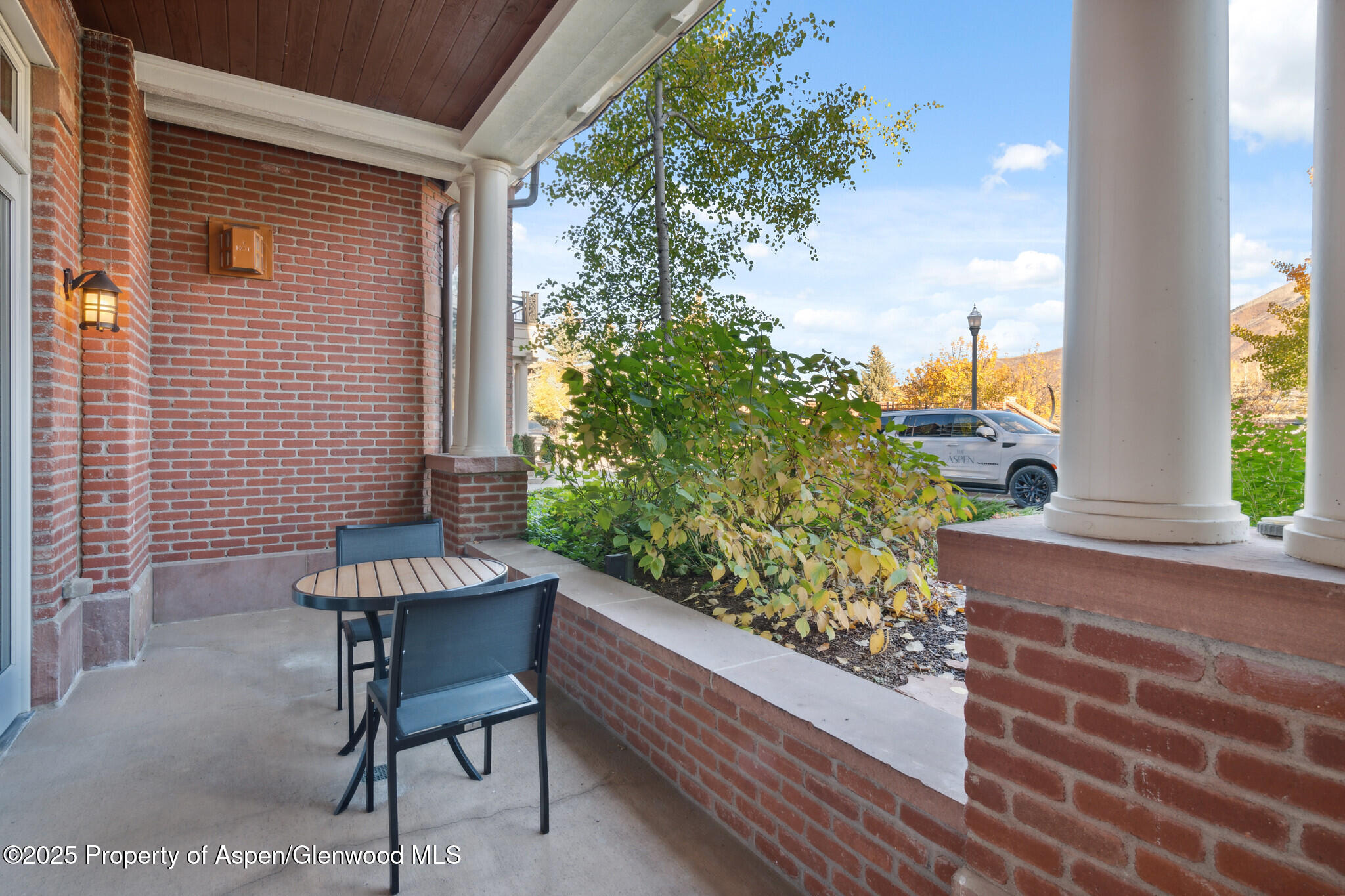 415 E Dean St, Unit 2, Week 31 Aspen CO 81611