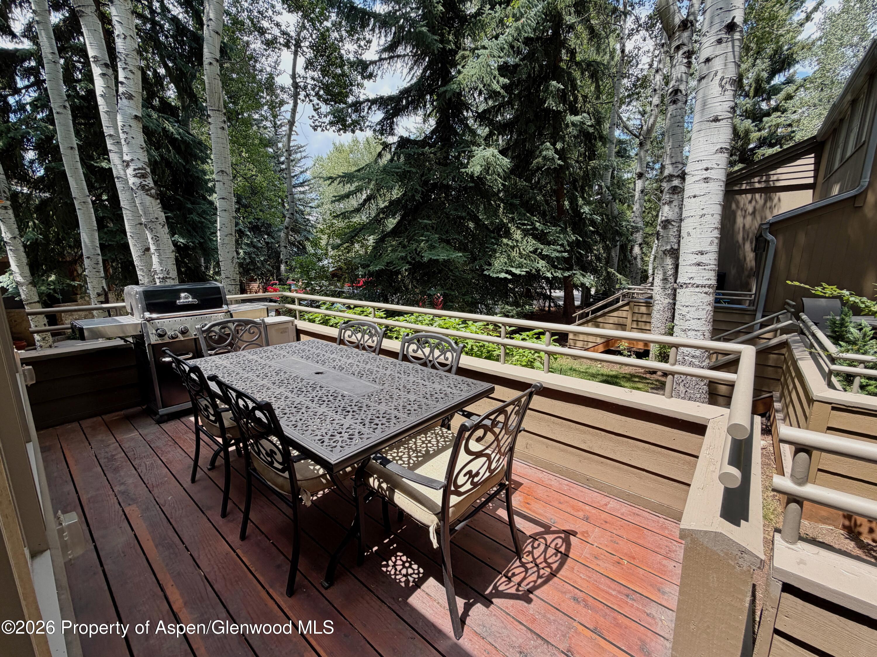 100 N 8th Street Aspen CO 81611